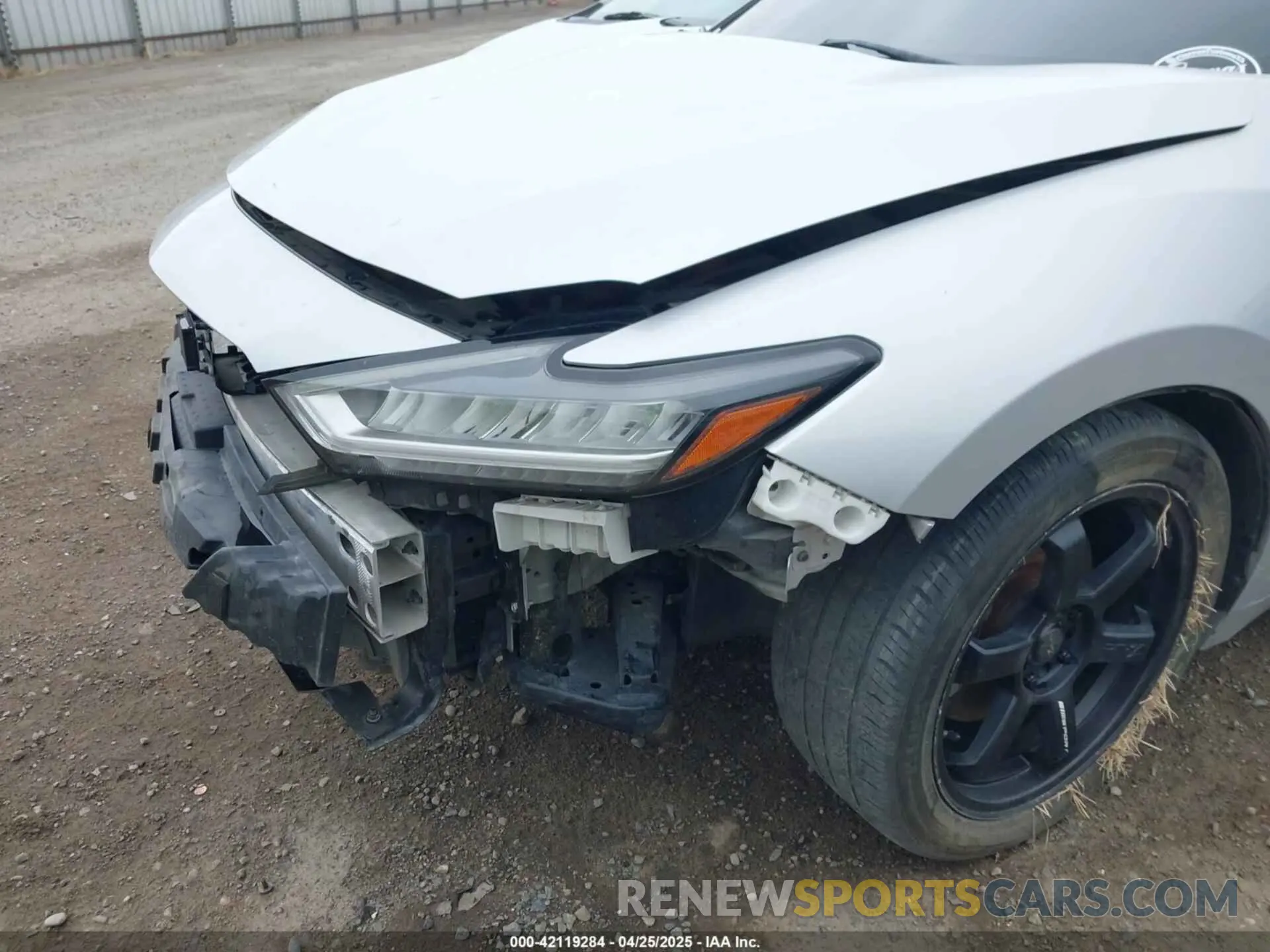 19 Photograph of a damaged car 1N4AA6CVXLC378511 NISSAN MAXIMA 2020