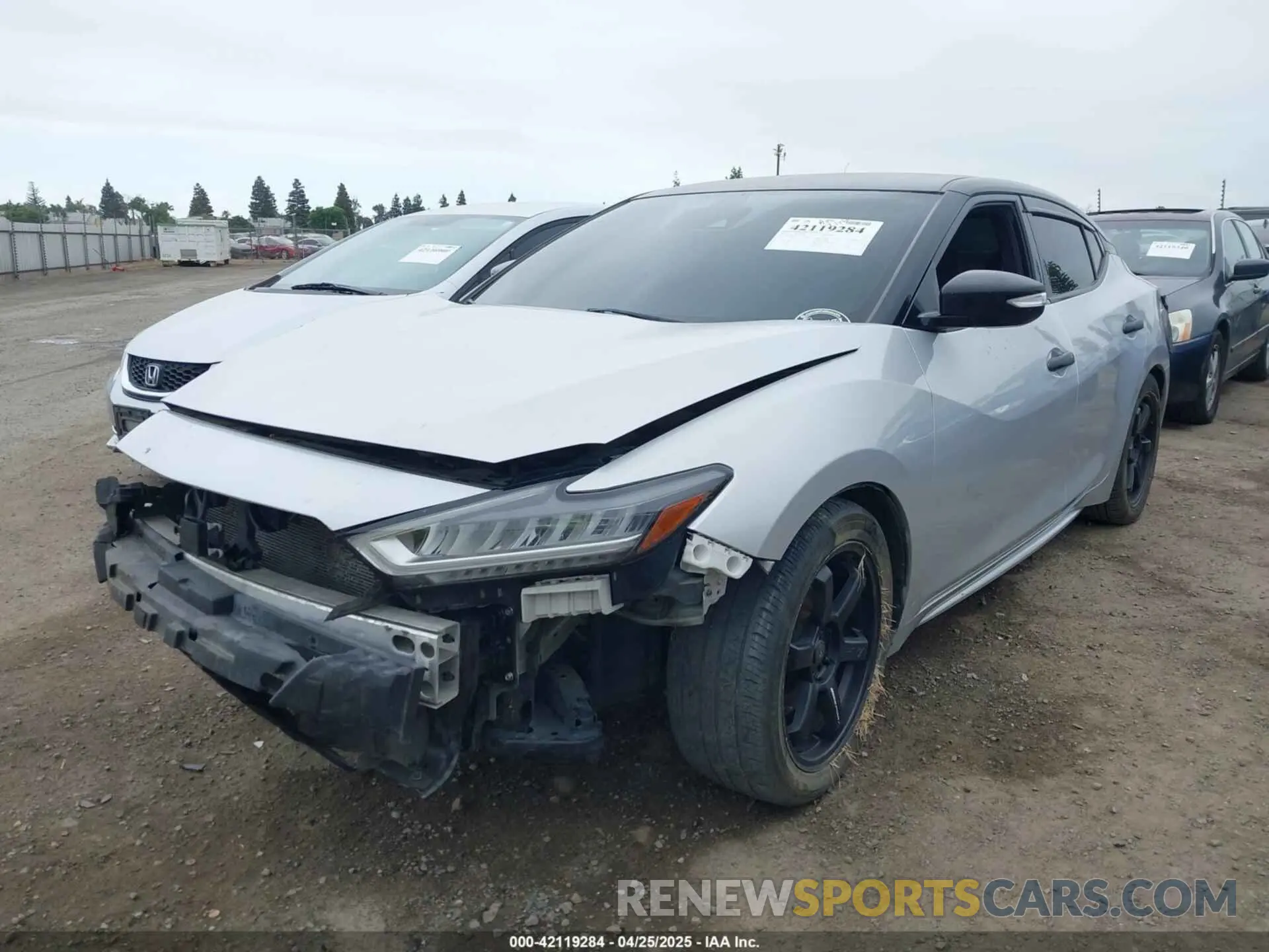 2 Photograph of a damaged car 1N4AA6CVXLC378511 NISSAN MAXIMA 2020