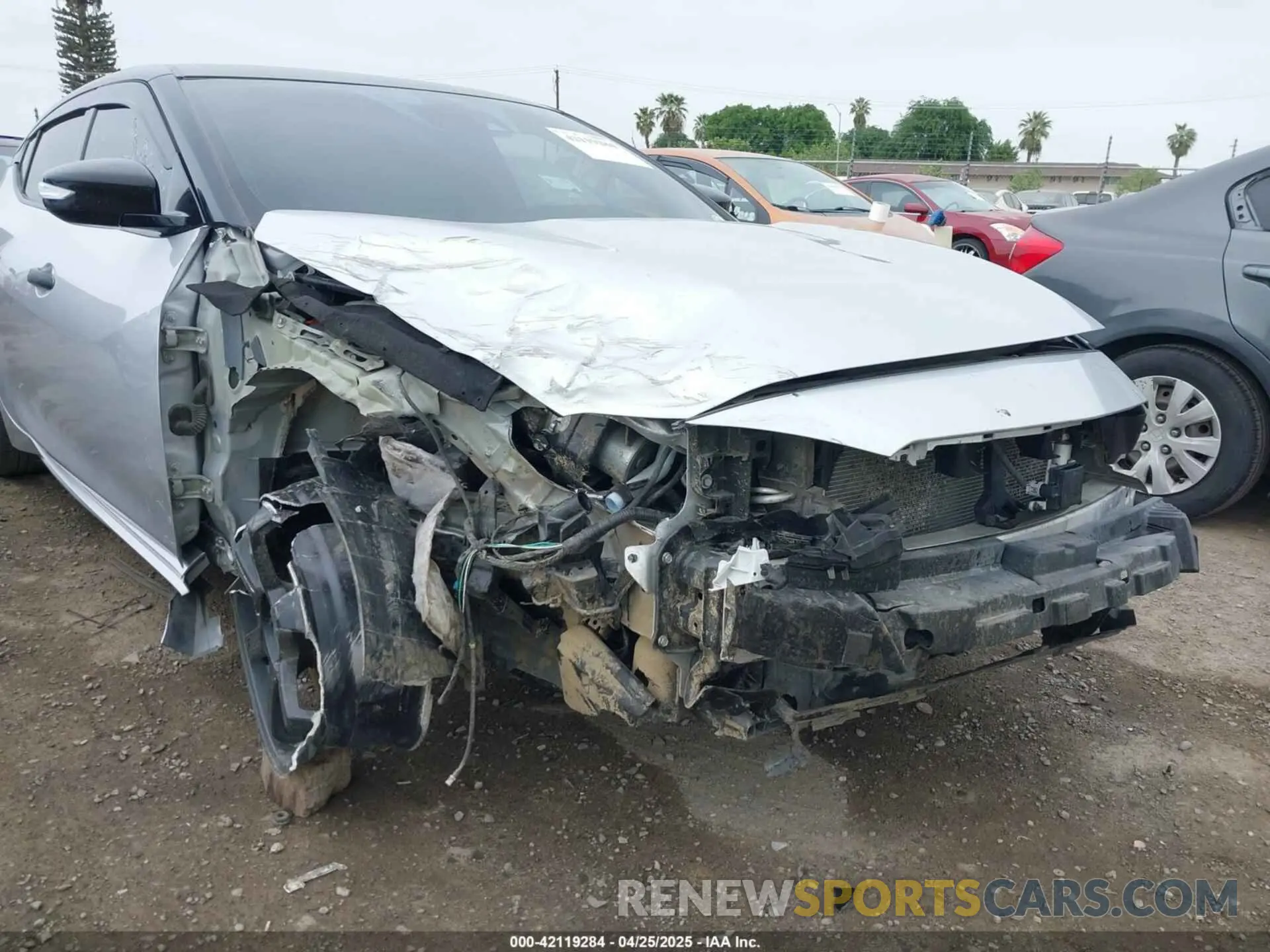 6 Photograph of a damaged car 1N4AA6CVXLC378511 NISSAN MAXIMA 2020