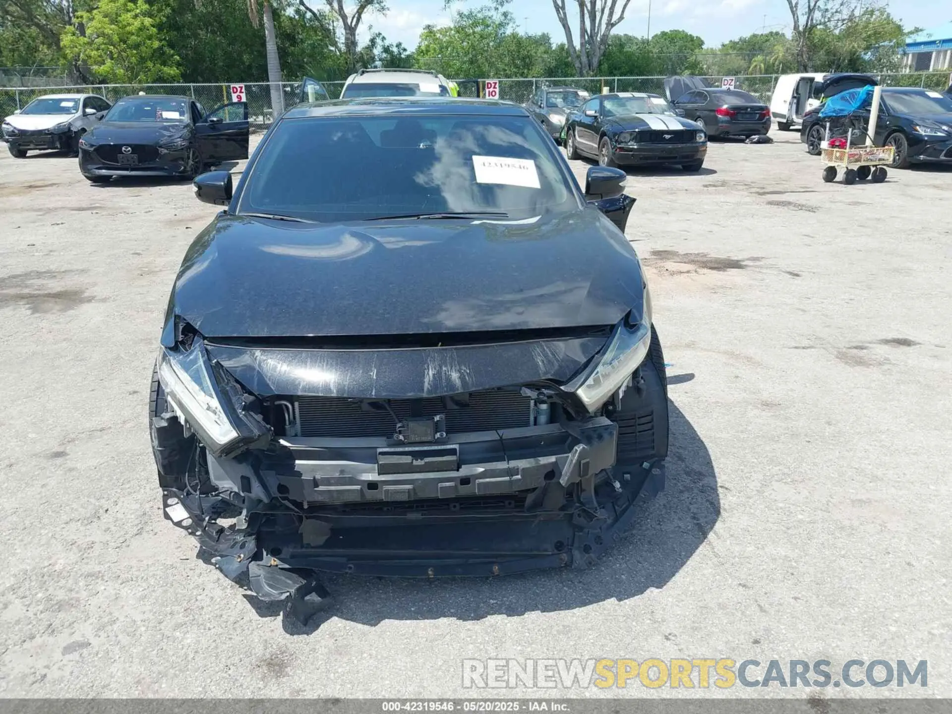13 Photograph of a damaged car 1N4AA6DV2LC385127 NISSAN MAXIMA 2020