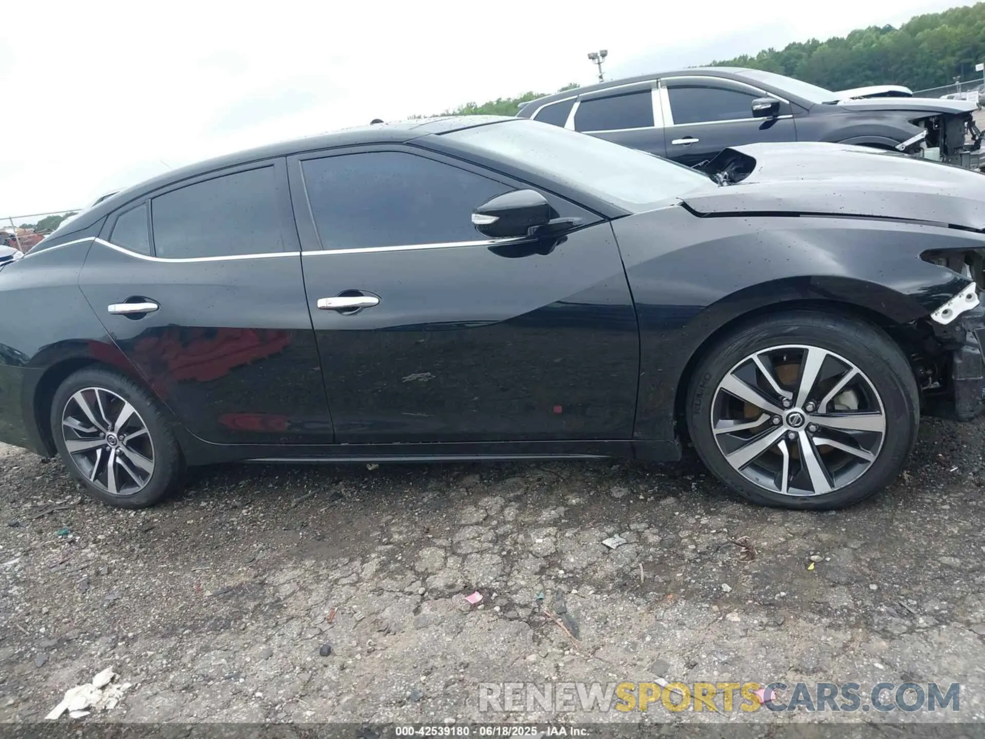 14 Photograph of a damaged car 1N4AA6DV4LC372394 NISSAN MAXIMA 2020