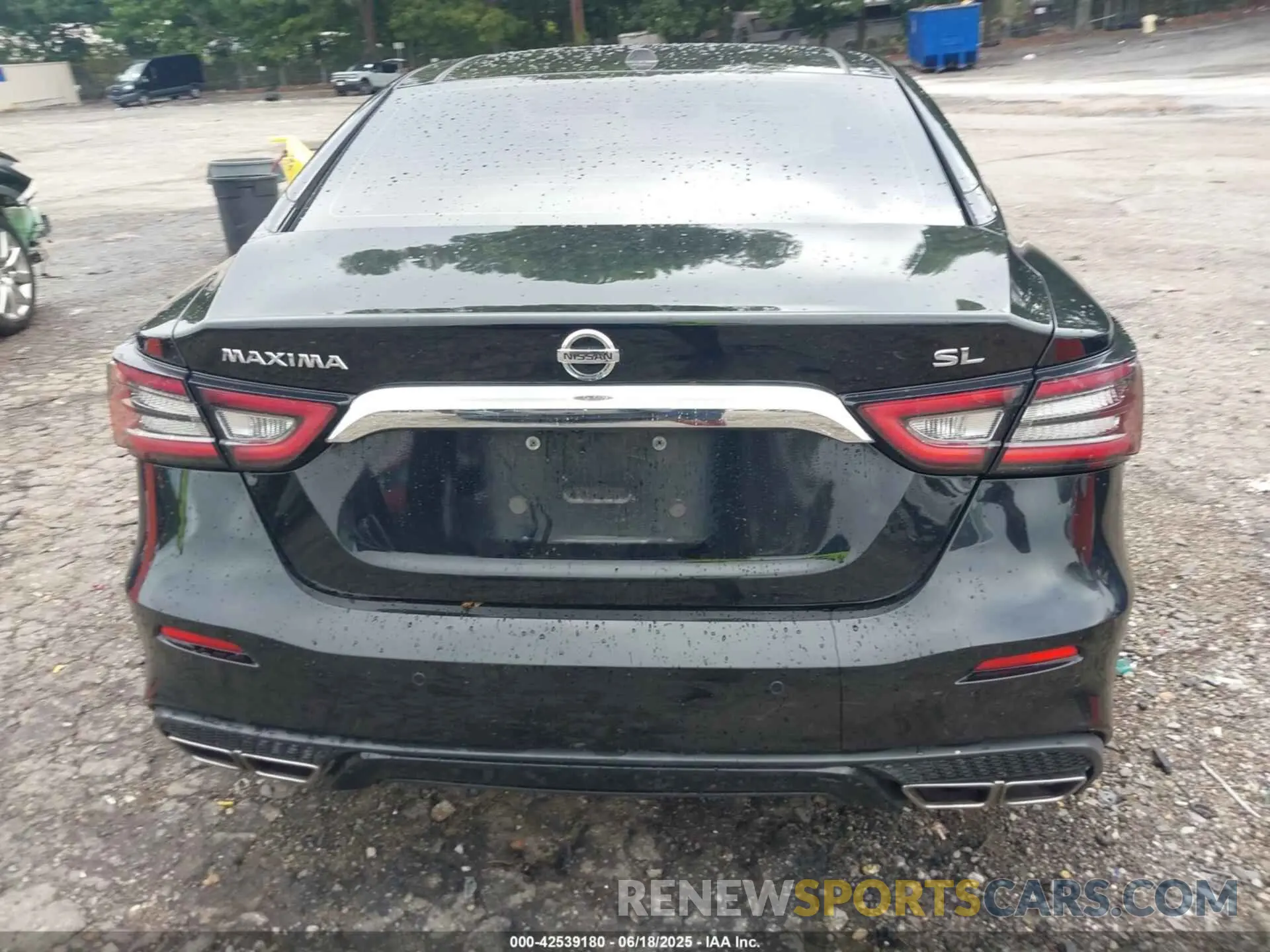 17 Photograph of a damaged car 1N4AA6DV4LC372394 NISSAN MAXIMA 2020