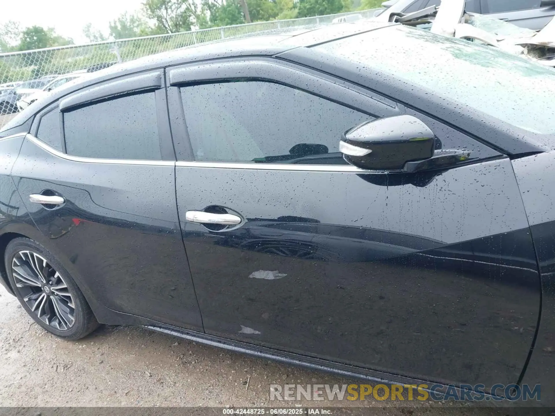 14 Photograph of a damaged car 1N4AA6DV9LC384511 NISSAN MAXIMA 2020