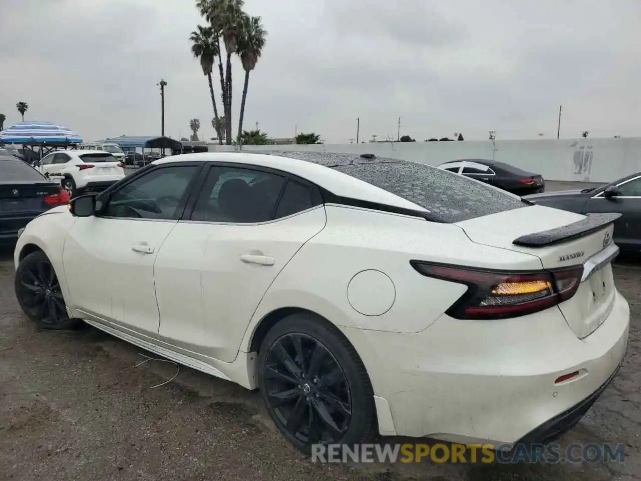 2 Photograph of a damaged car 1N4AA6EV0LC382709 NISSAN MAXIMA 2020