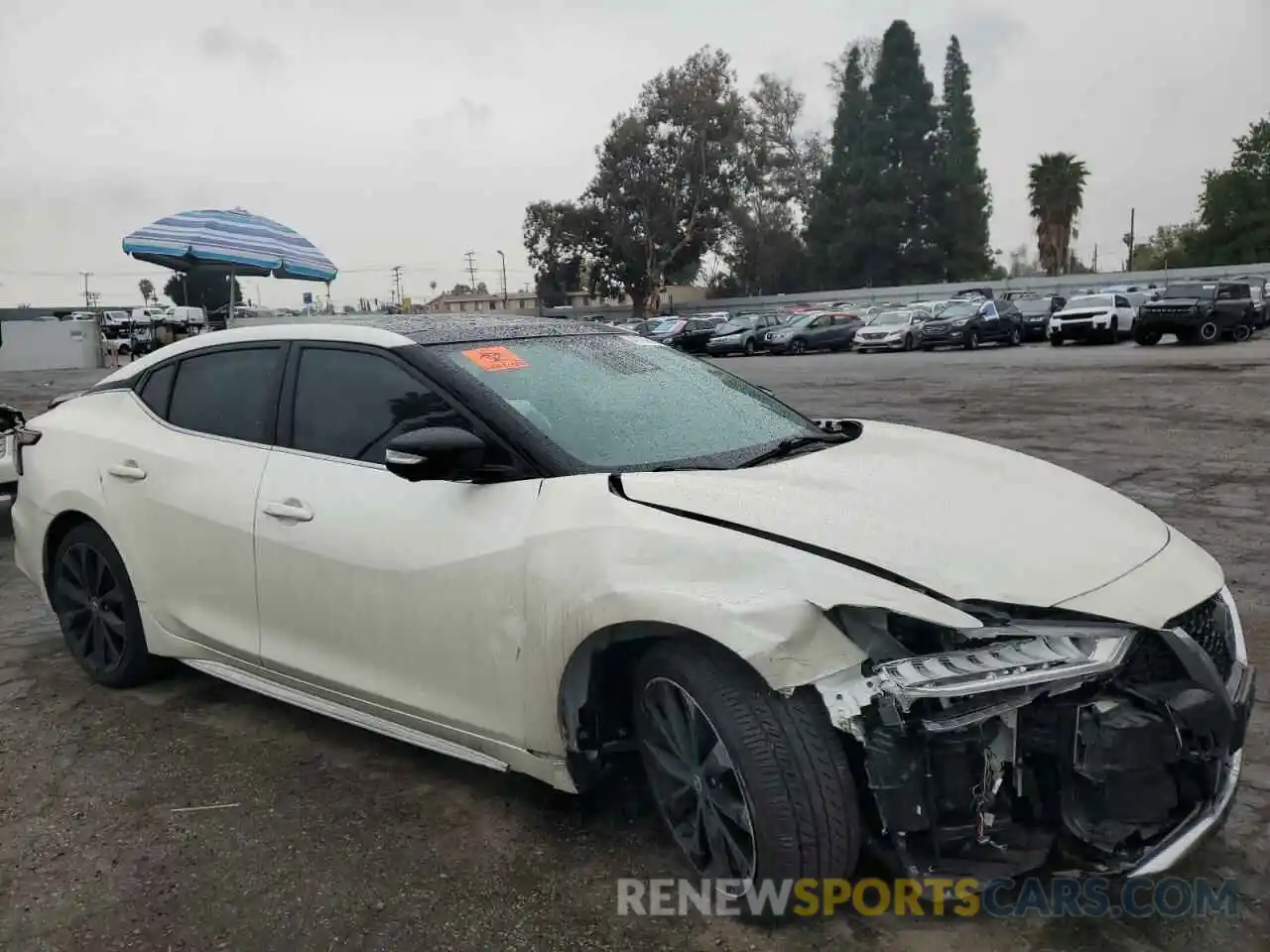 4 Photograph of a damaged car 1N4AA6EV0LC382709 NISSAN MAXIMA 2020