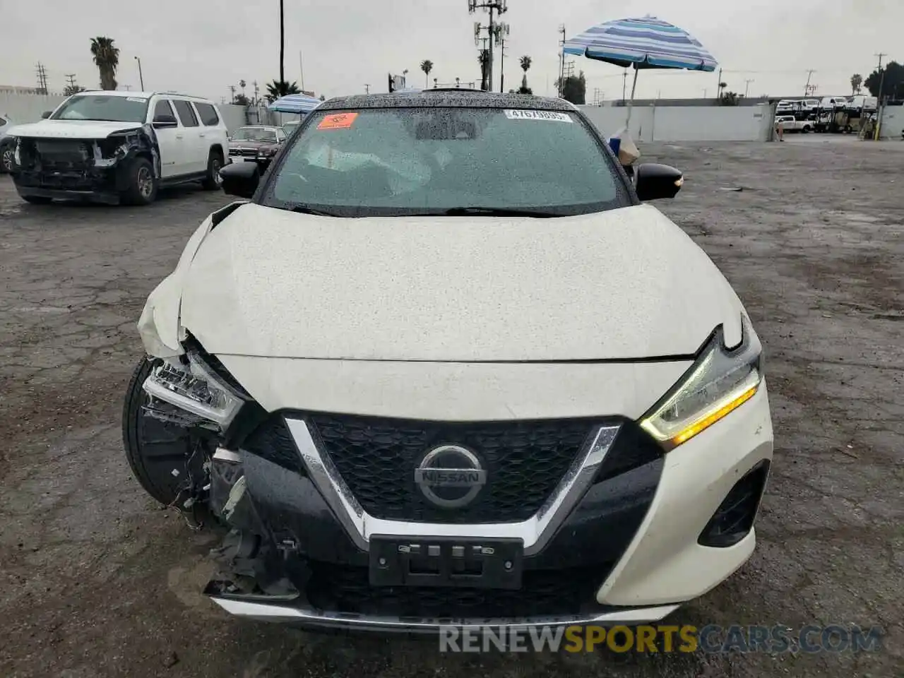 5 Photograph of a damaged car 1N4AA6EV0LC382709 NISSAN MAXIMA 2020