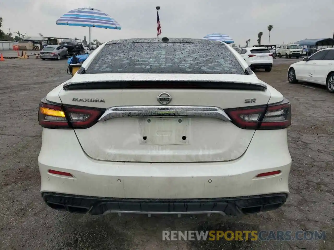 6 Photograph of a damaged car 1N4AA6EV0LC382709 NISSAN MAXIMA 2020