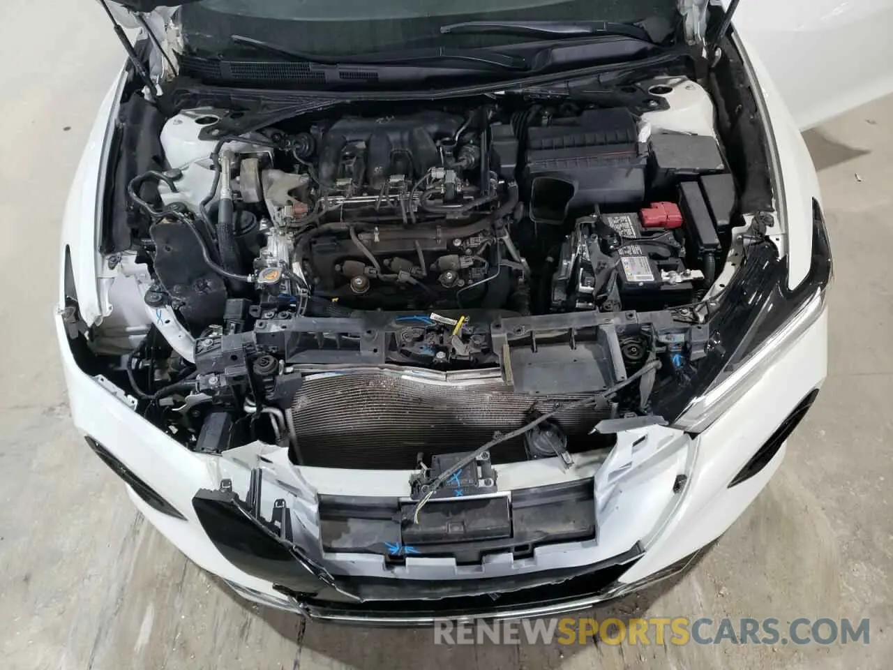 11 Photograph of a damaged car 1N4AA6EV5LC374850 NISSAN MAXIMA 2020