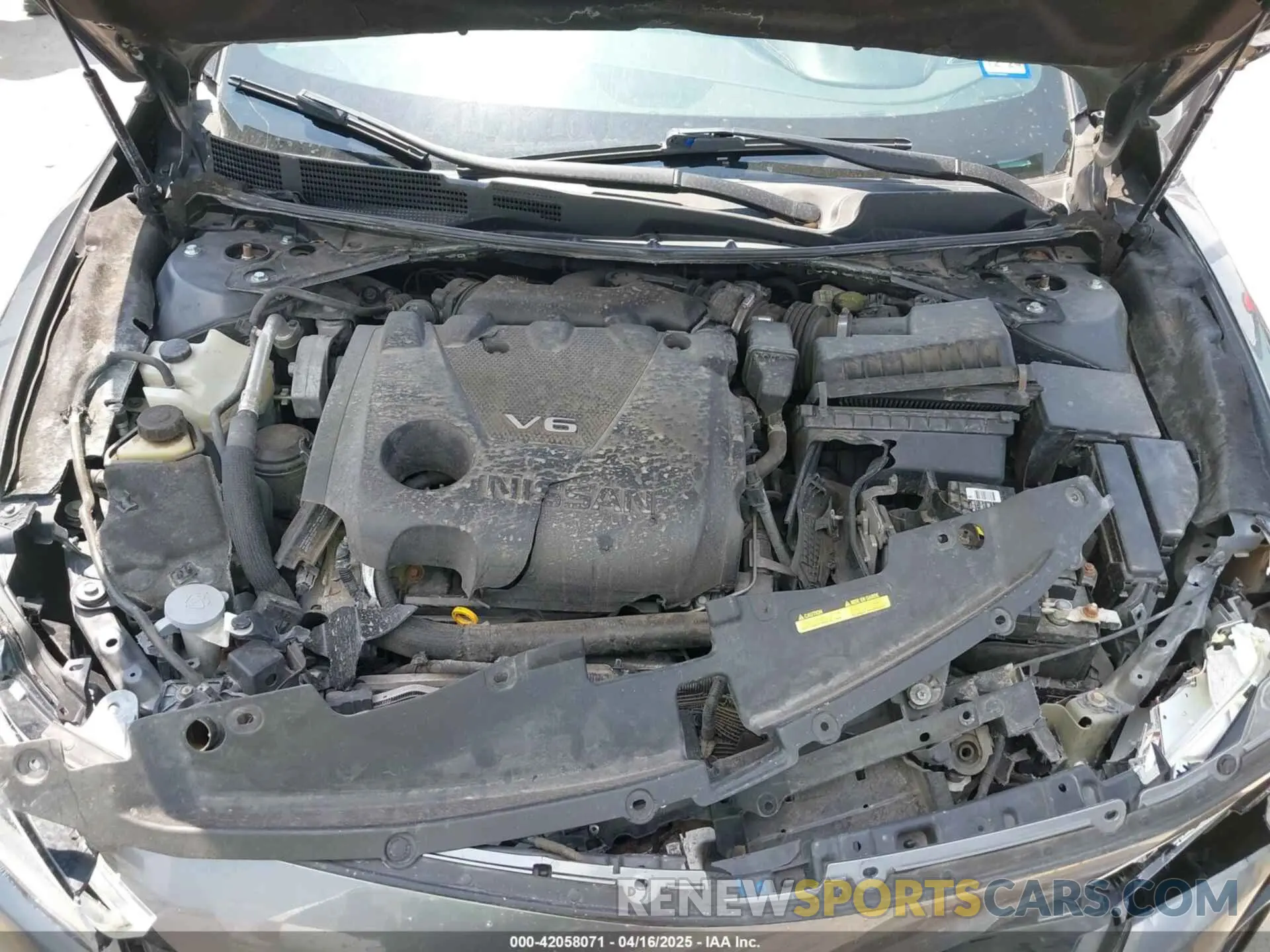 10 Photograph of a damaged car 1N4AA6EVXLC383592 NISSAN MAXIMA 2020