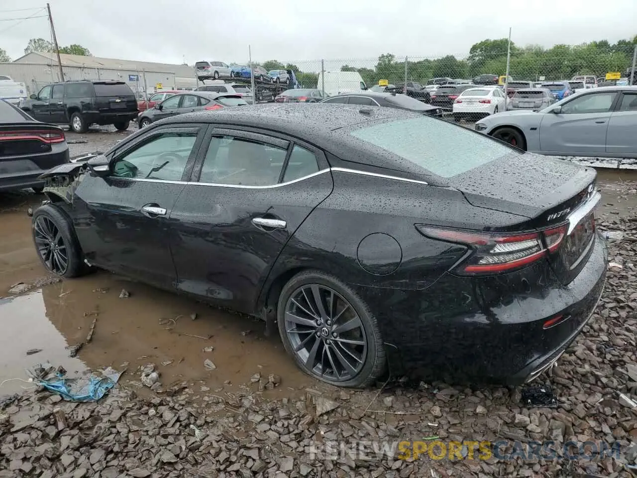 2 Photograph of a damaged car 1N4AA6FV1LC375587 NISSAN MAXIMA 2020