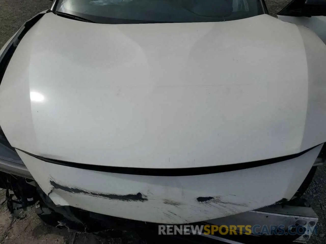 12 Photograph of a damaged car 1N4AA6FV7LC377294 NISSAN MAXIMA 2020