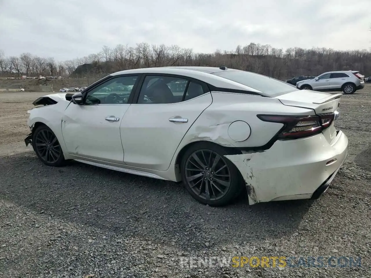 2 Photograph of a damaged car 1N4AA6FV7LC377294 NISSAN MAXIMA 2020