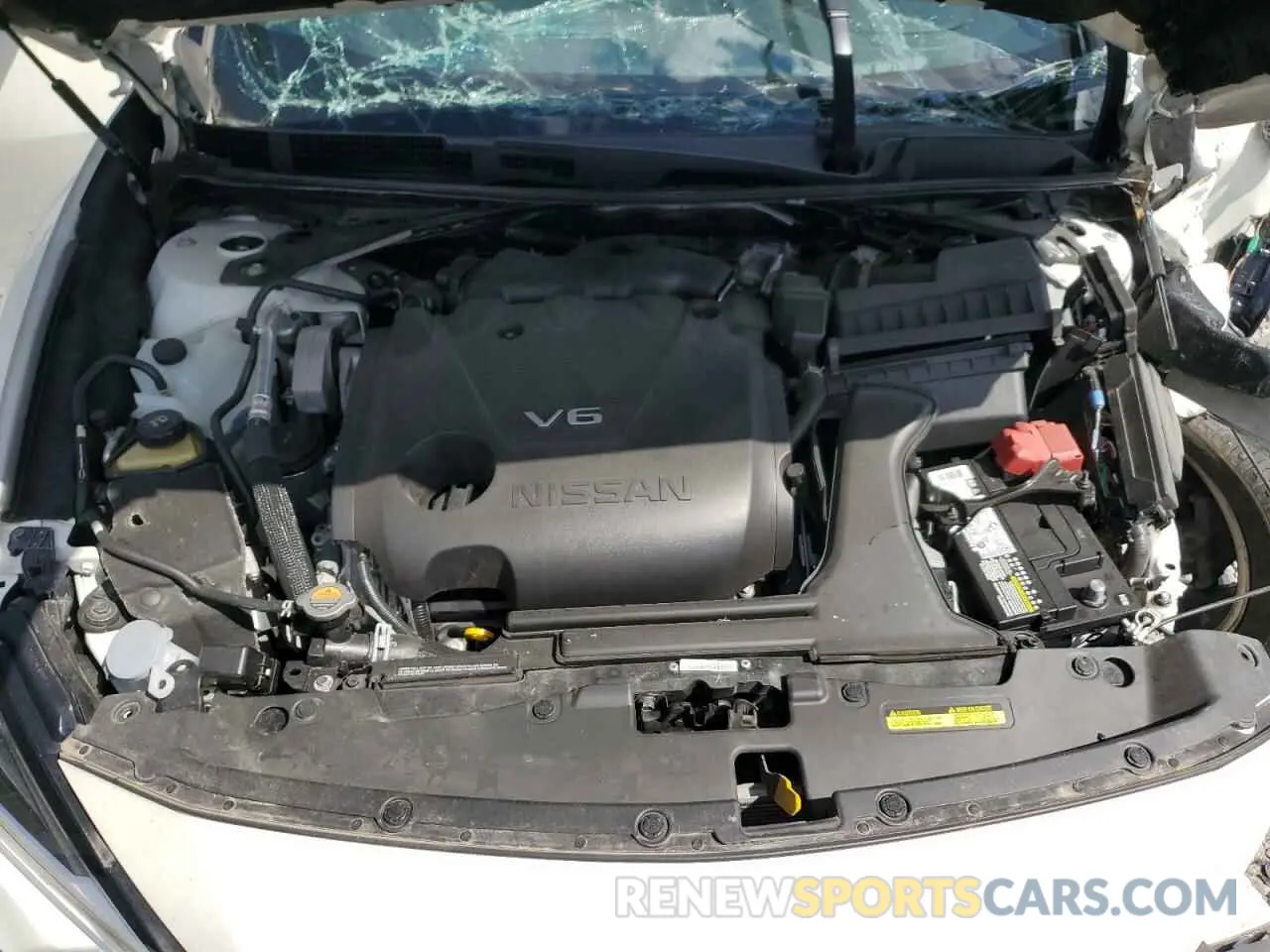 11 Photograph of a damaged car 1N4AA6FV8LC376087 NISSAN MAXIMA 2020