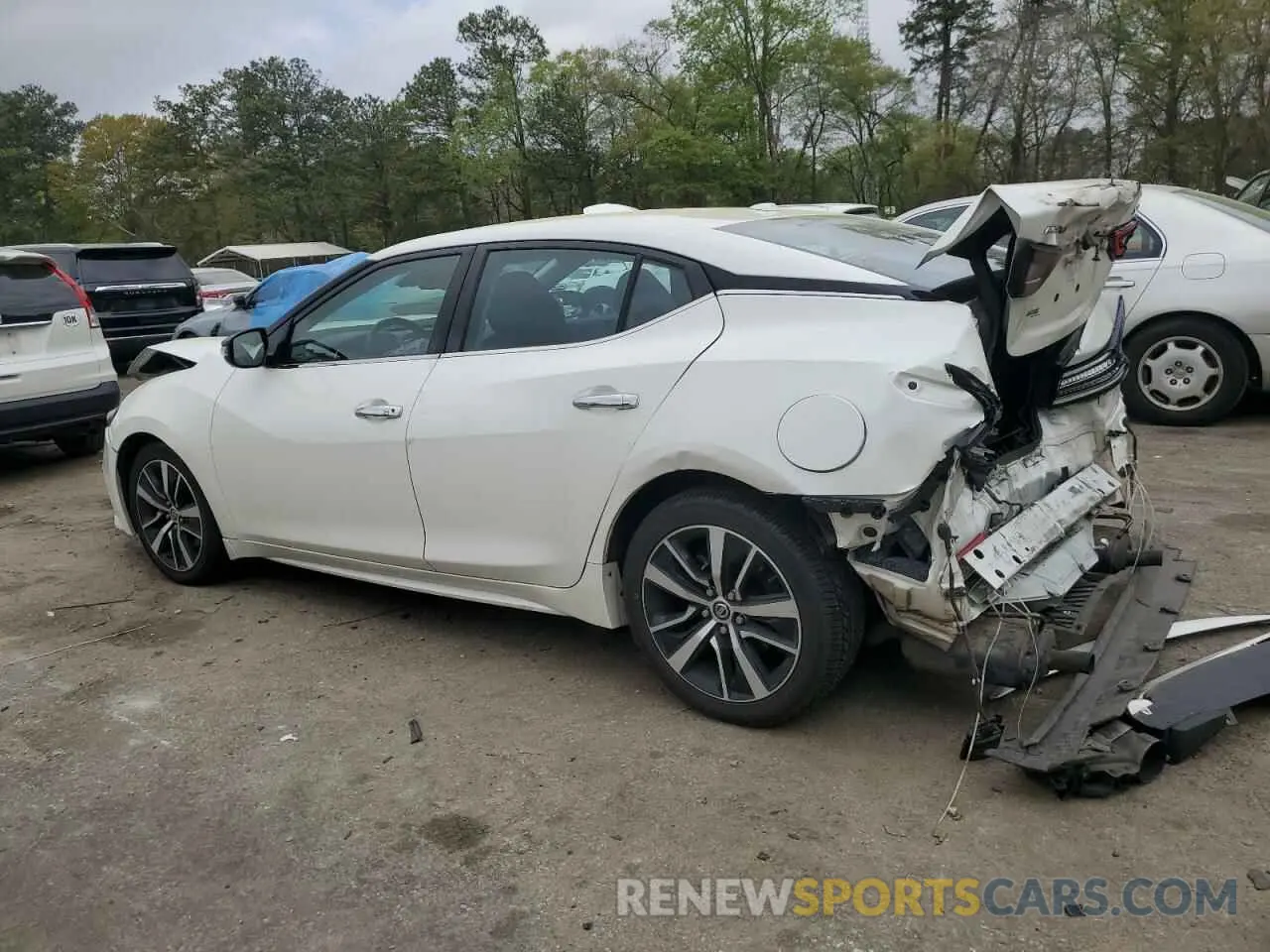 2 Photograph of a damaged car 1N4AA6CV1MC515112 NISSAN MAXIMA 2021
