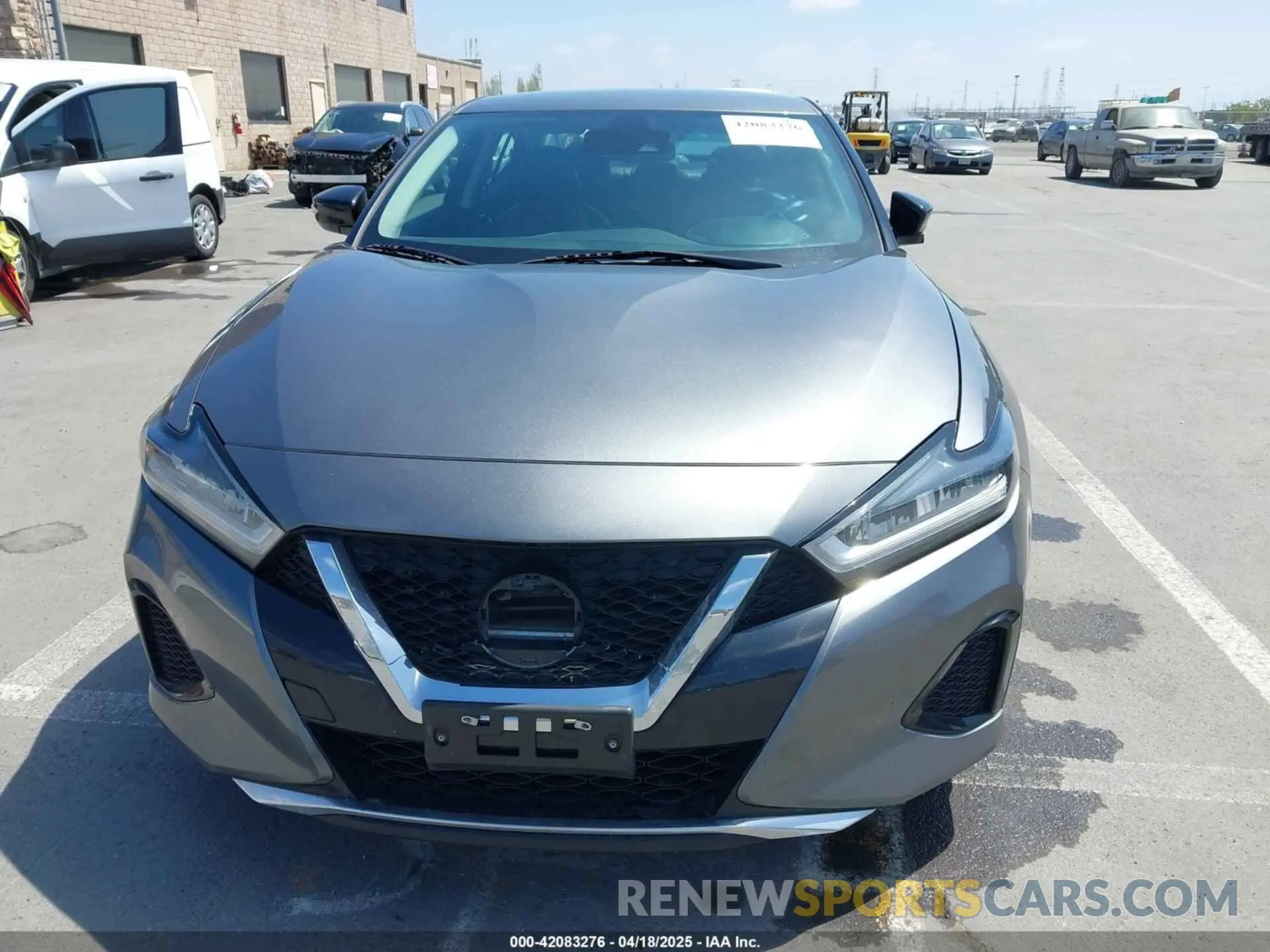 12 Photograph of a damaged car 1N4AA6CV3MC506783 NISSAN MAXIMA 2021