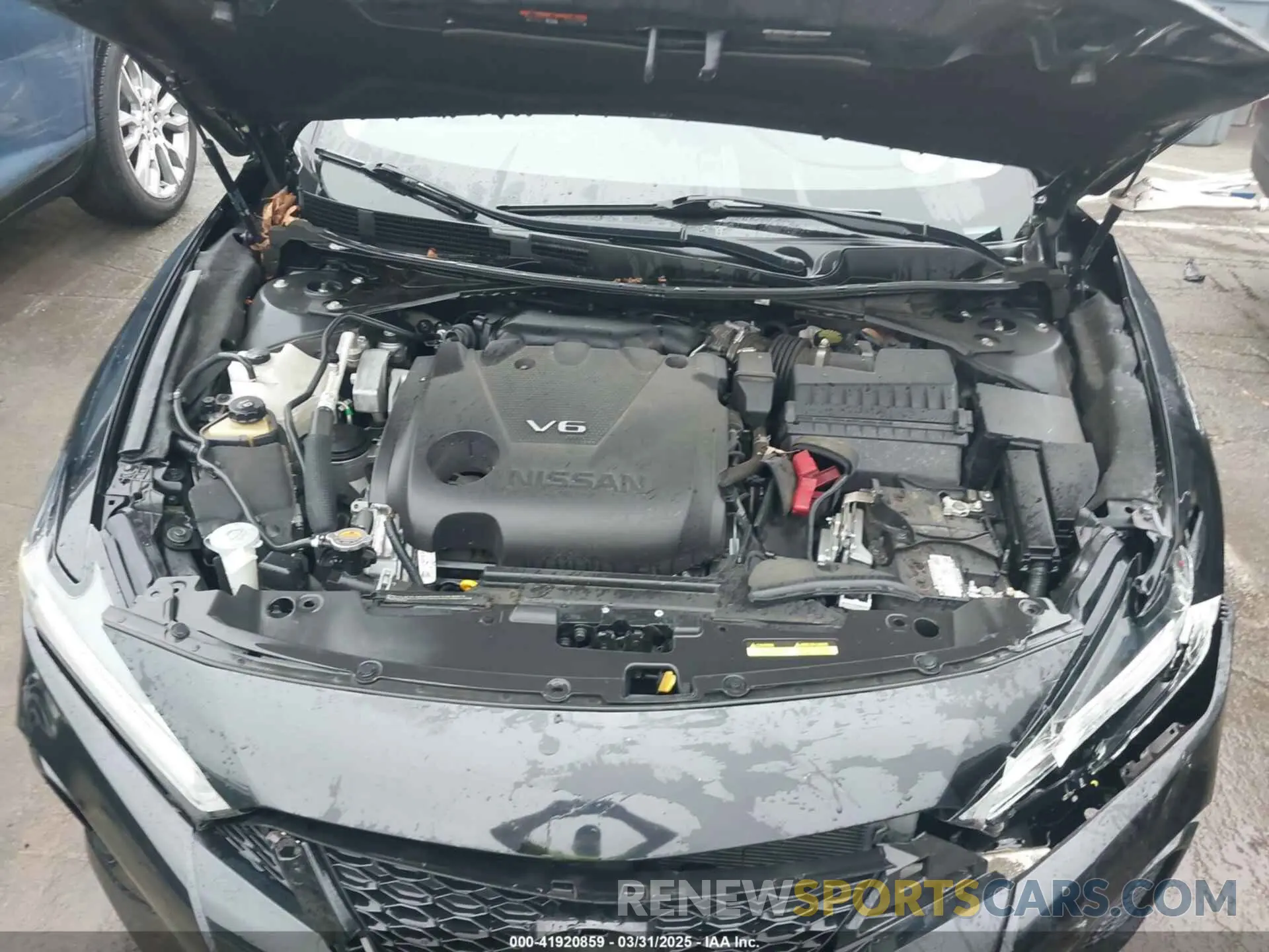 10 Photograph of a damaged car 1N4AA6CV3MC507948 NISSAN MAXIMA 2021
