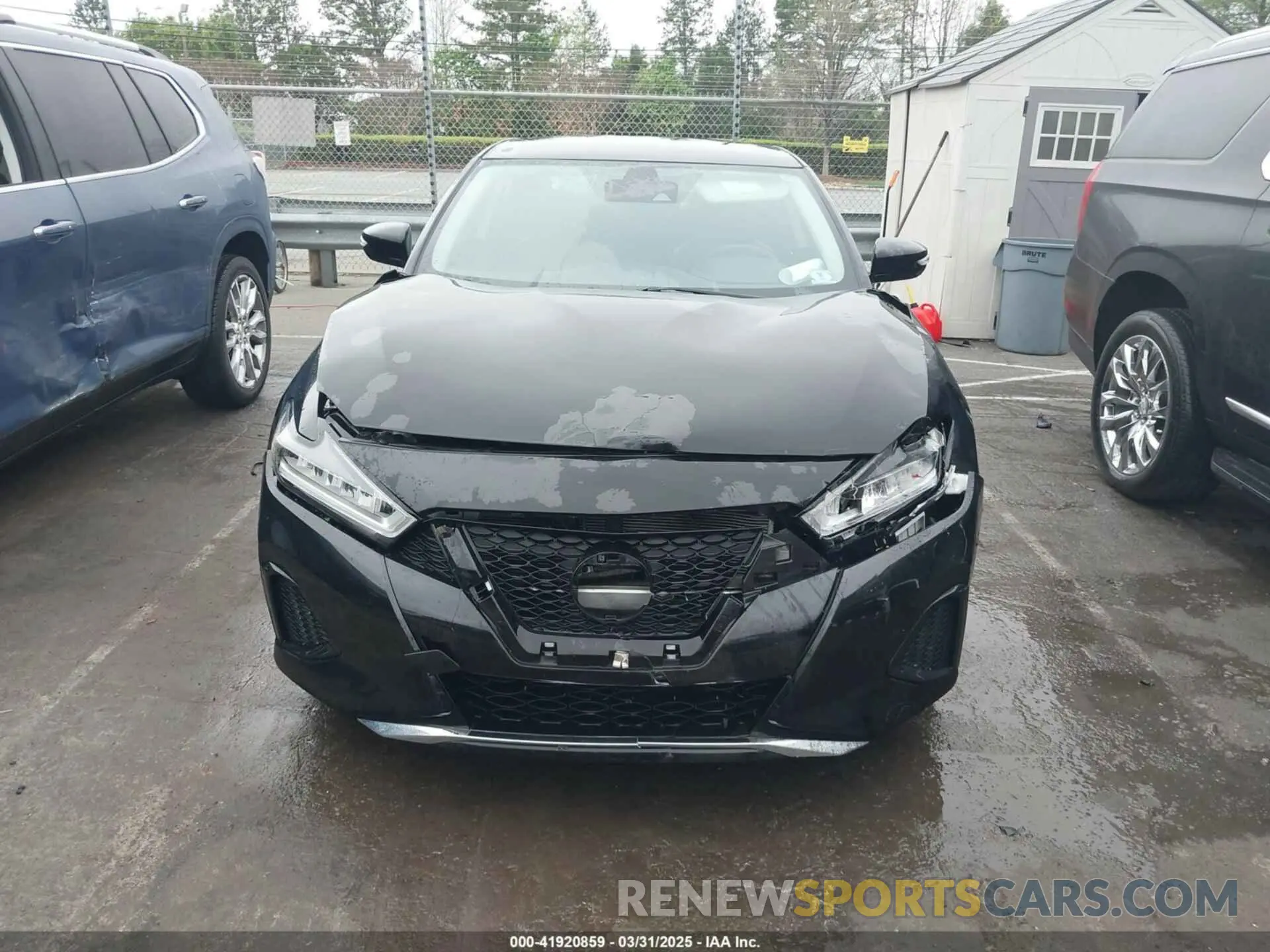 12 Photograph of a damaged car 1N4AA6CV3MC507948 NISSAN MAXIMA 2021