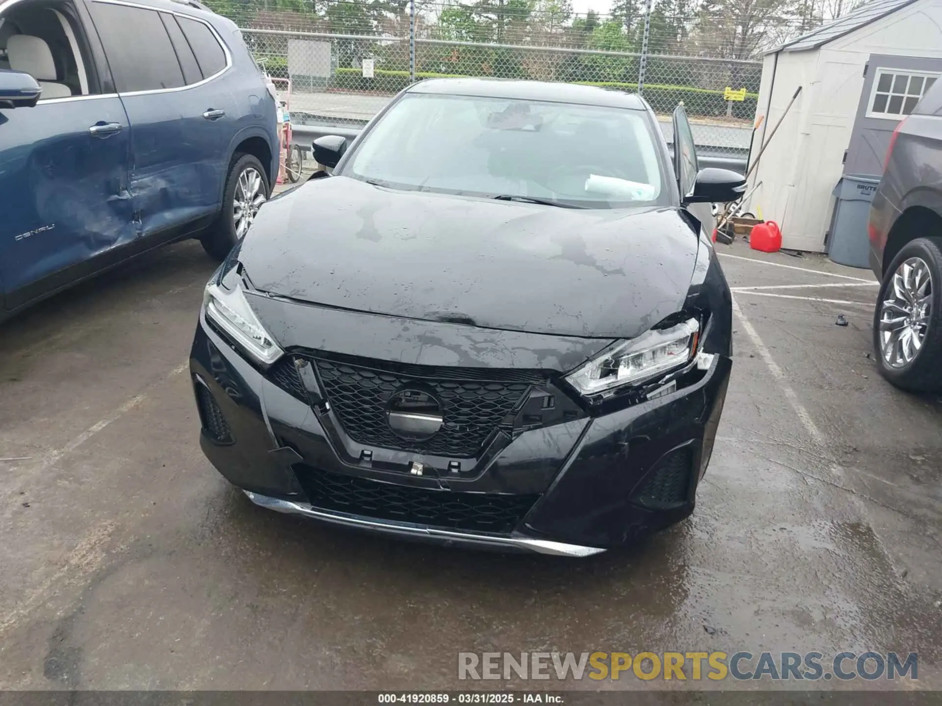 6 Photograph of a damaged car 1N4AA6CV3MC507948 NISSAN MAXIMA 2021