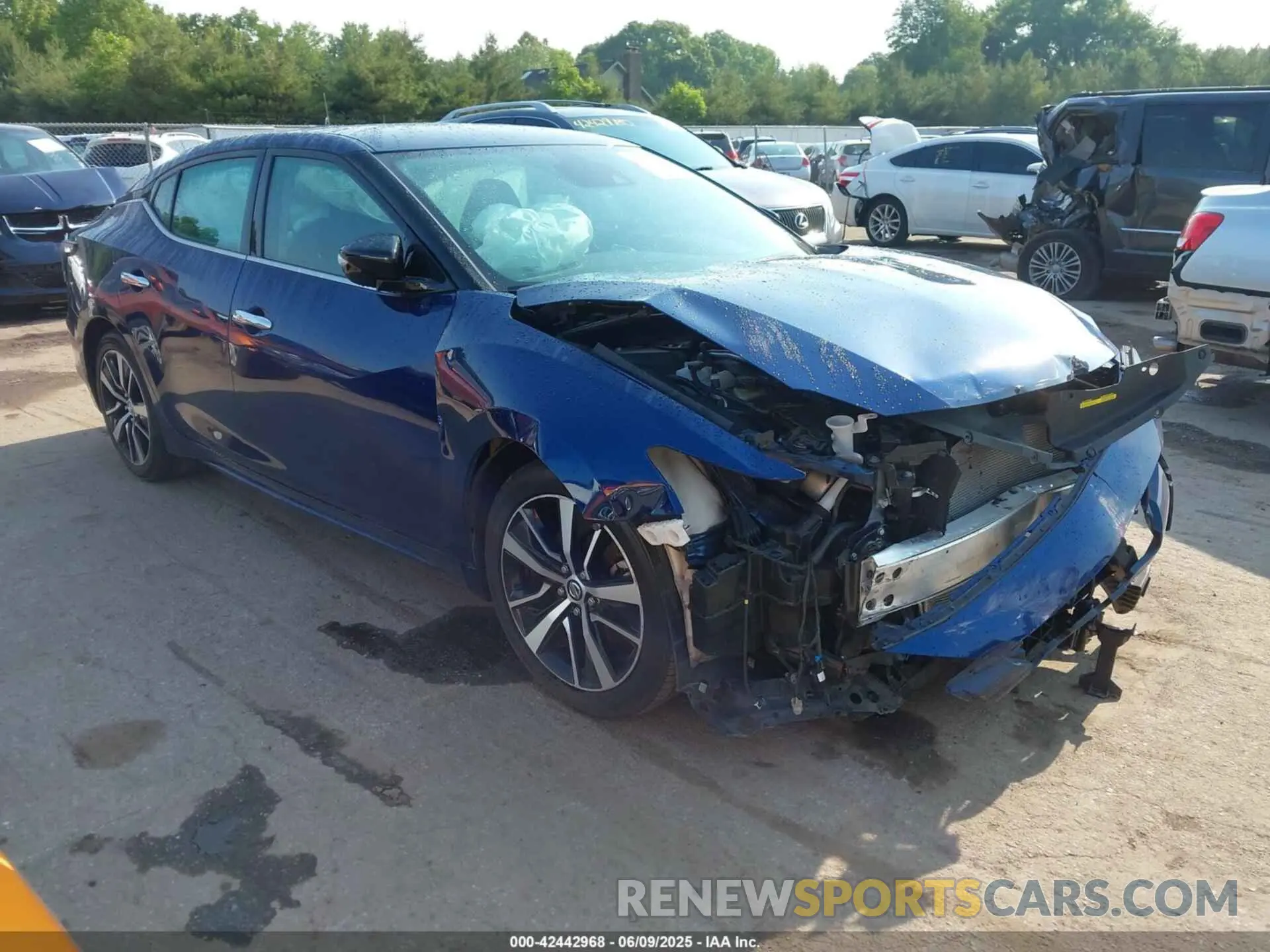 1 Photograph of a damaged car 1N4AA6CV4MC501236 NISSAN MAXIMA 2021