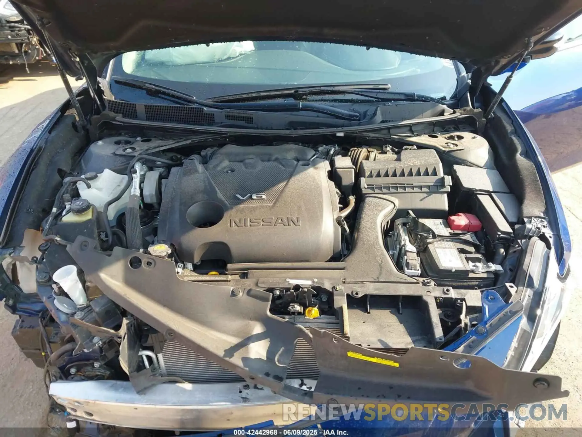 10 Photograph of a damaged car 1N4AA6CV4MC501236 NISSAN MAXIMA 2021