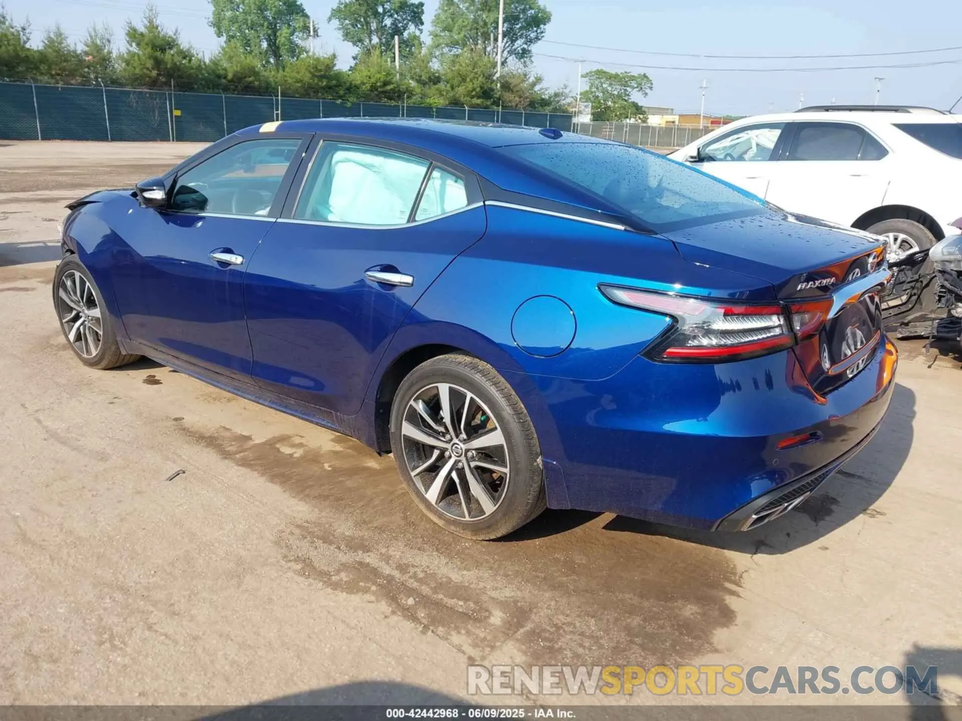 3 Photograph of a damaged car 1N4AA6CV4MC501236 NISSAN MAXIMA 2021