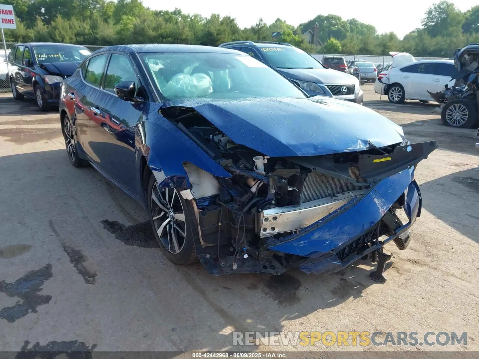6 Photograph of a damaged car 1N4AA6CV4MC501236 NISSAN MAXIMA 2021