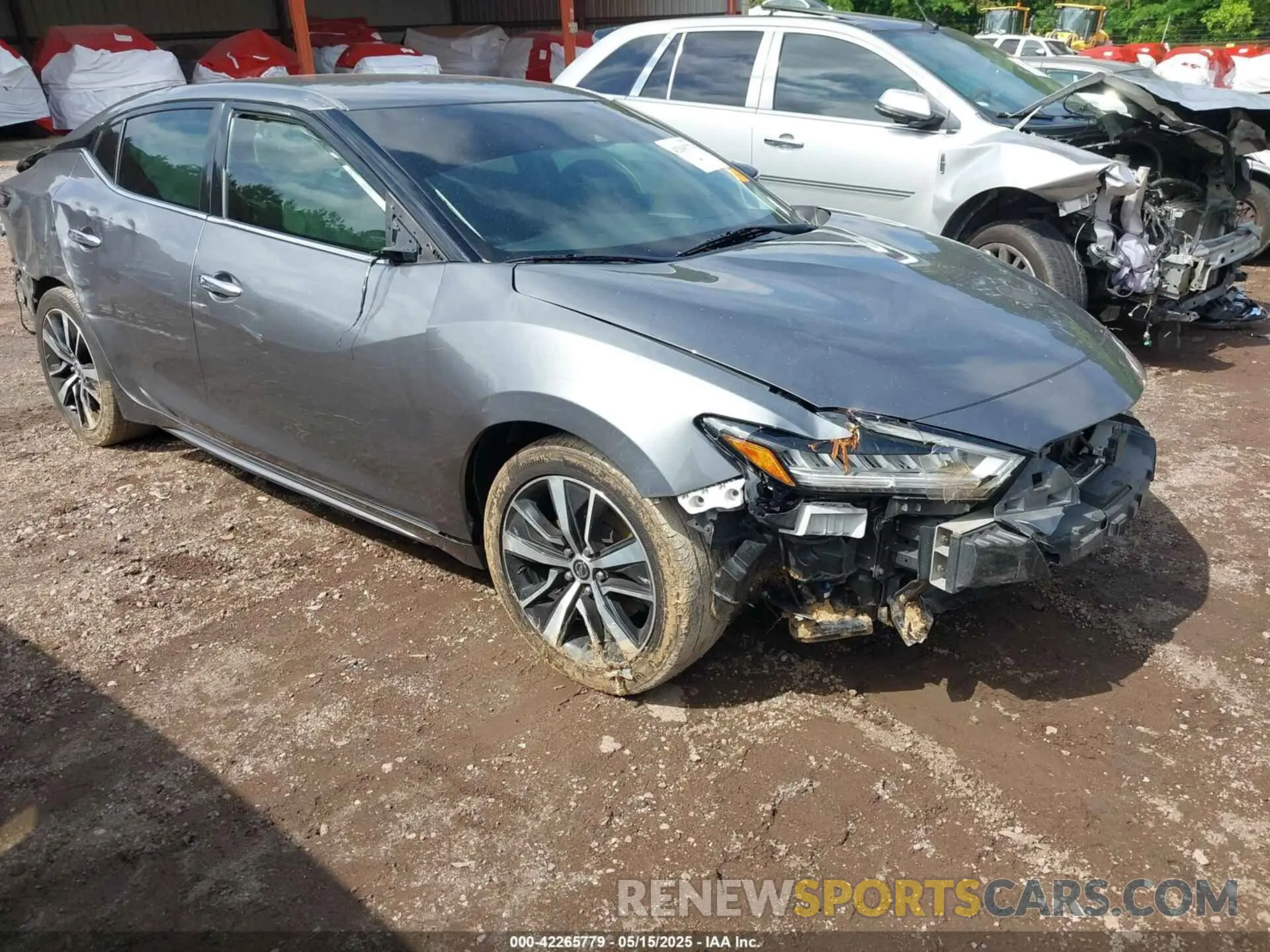 1 Photograph of a damaged car 1N4AA6CV4MC503018 NISSAN MAXIMA 2021