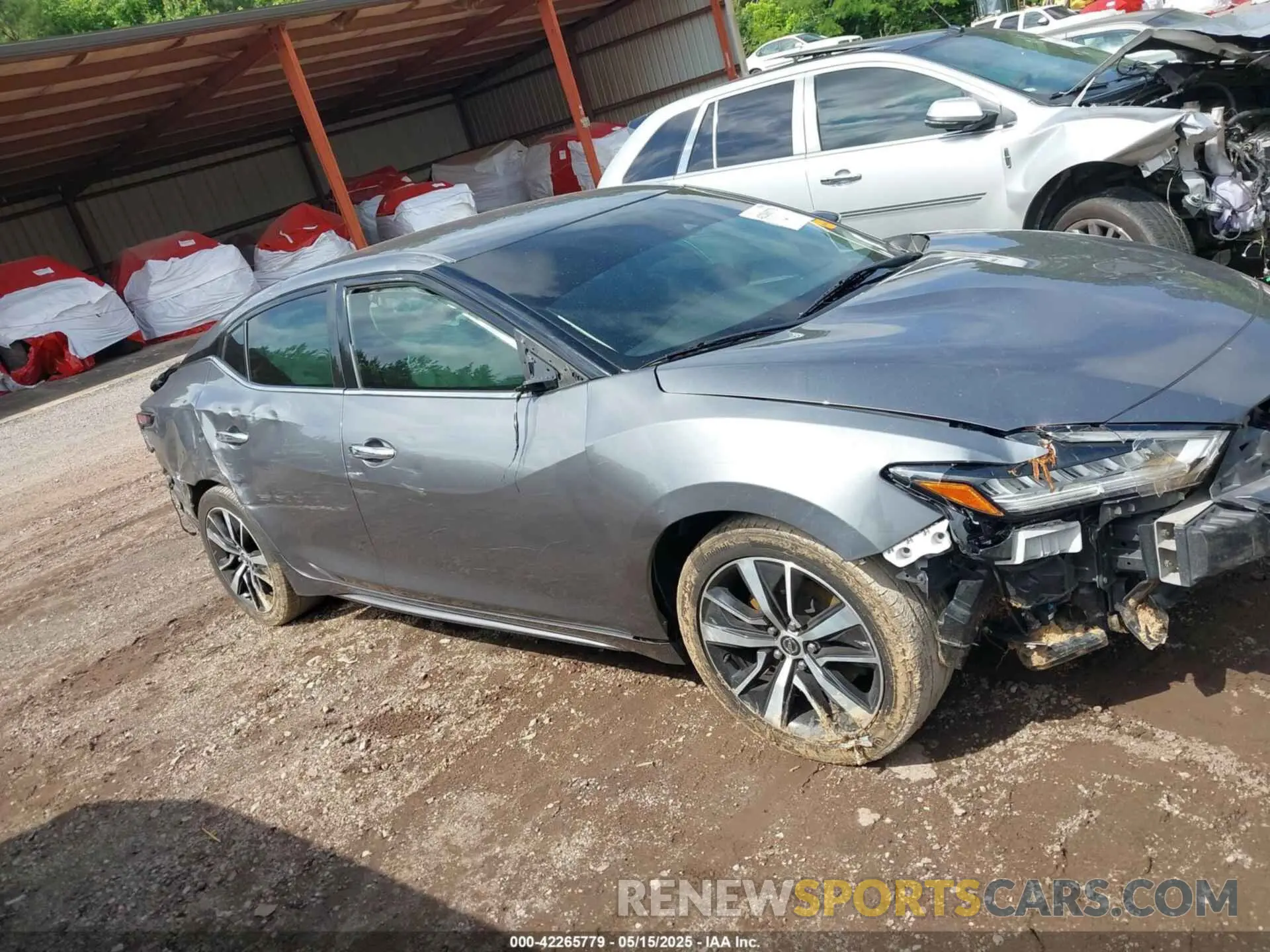 12 Photograph of a damaged car 1N4AA6CV4MC503018 NISSAN MAXIMA 2021