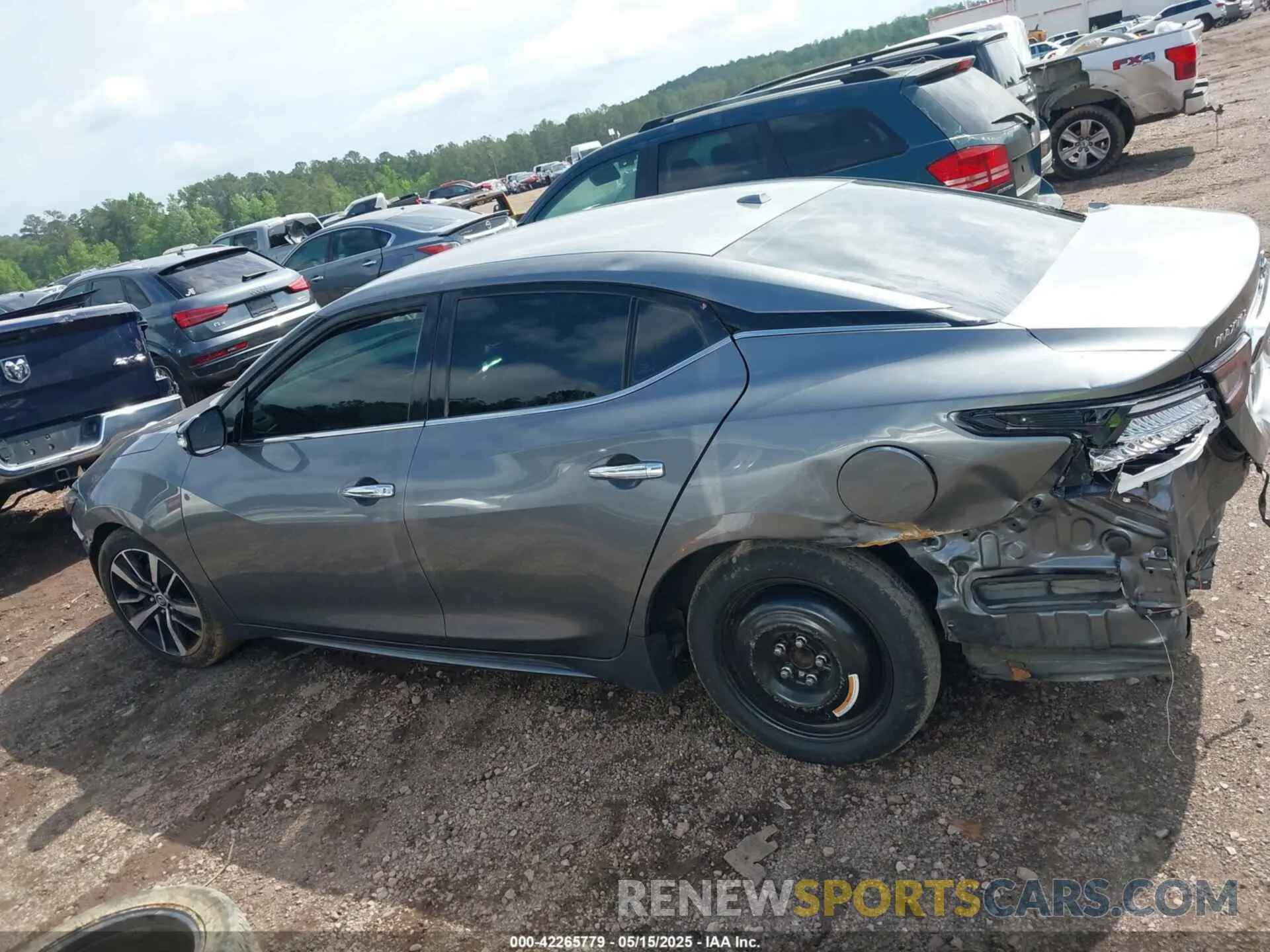 13 Photograph of a damaged car 1N4AA6CV4MC503018 NISSAN MAXIMA 2021