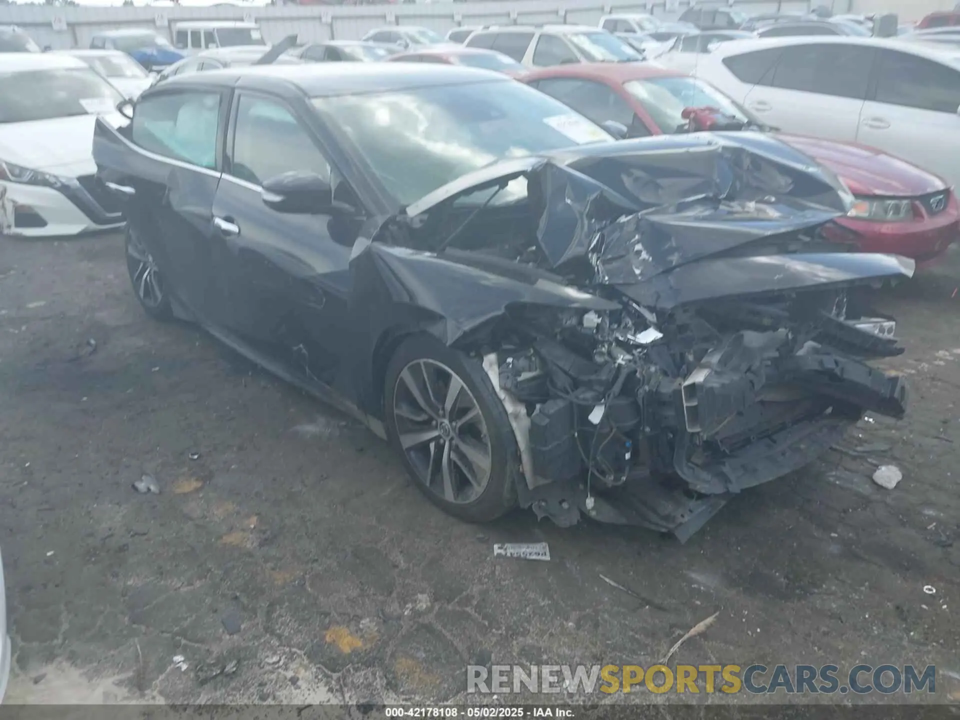 1 Photograph of a damaged car 1N4AA6CV4MC503424 NISSAN MAXIMA 2021