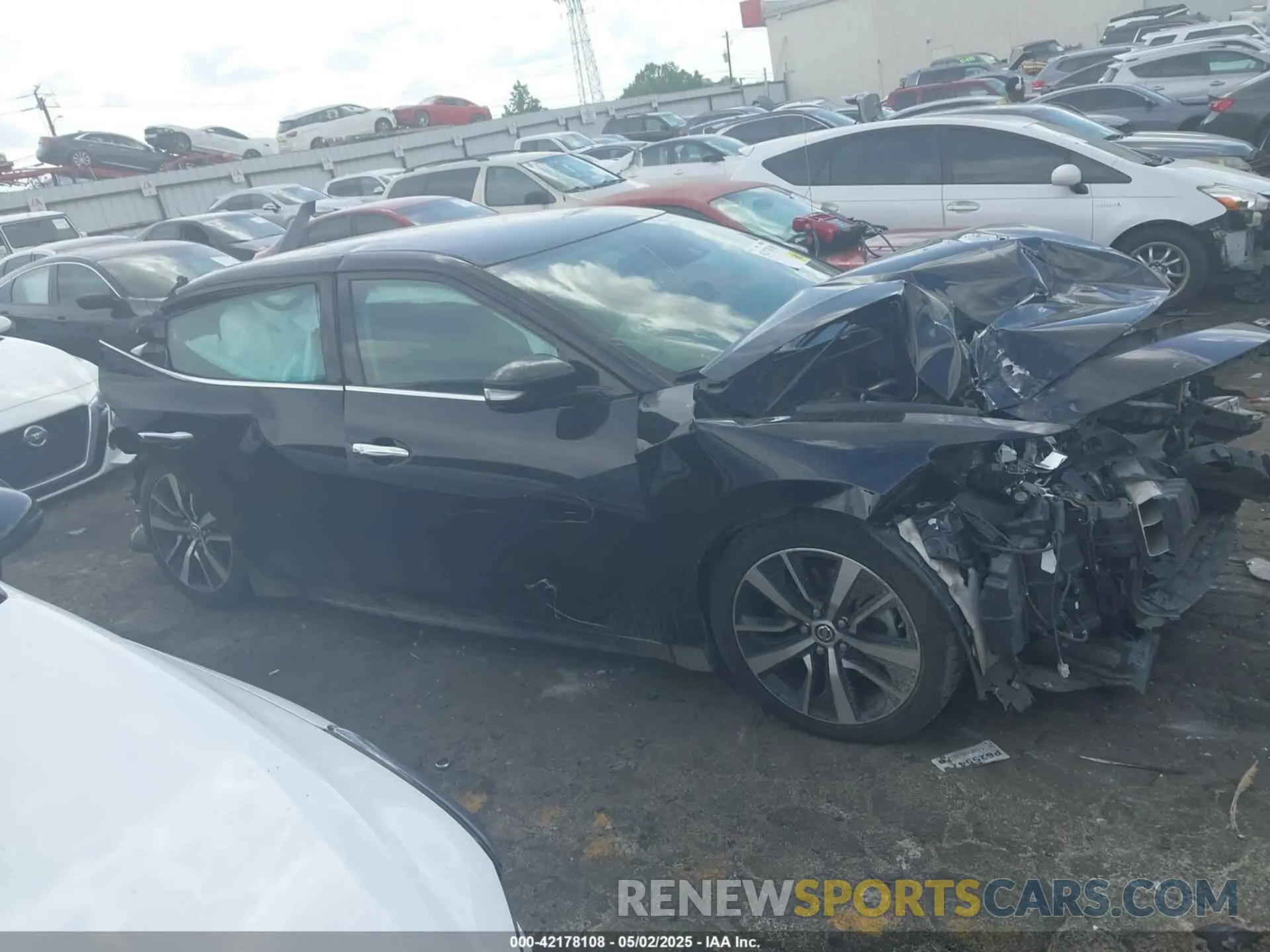 12 Photograph of a damaged car 1N4AA6CV4MC503424 NISSAN MAXIMA 2021