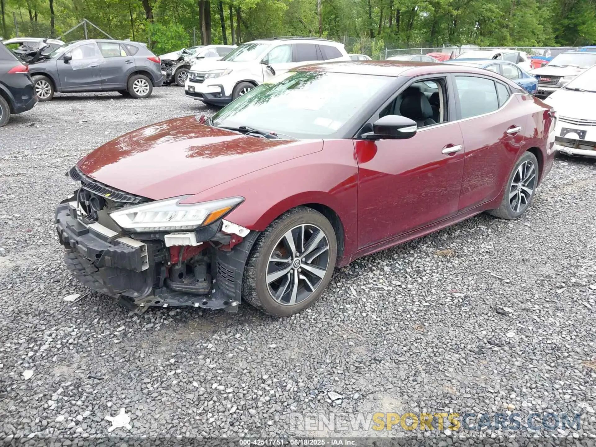 2 Photograph of a damaged car 1N4AA6CV4MC503844 NISSAN MAXIMA 2021