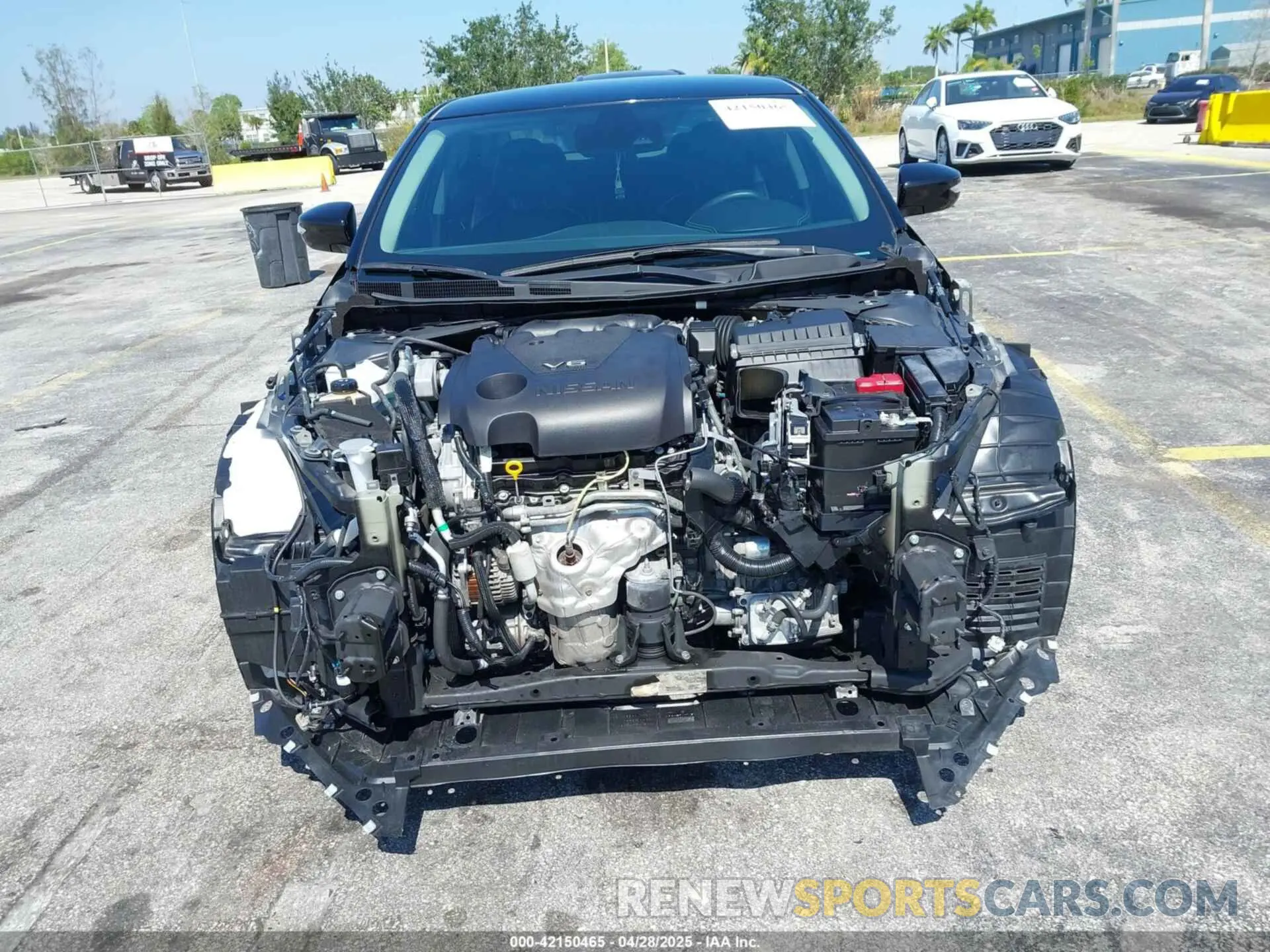 12 Photograph of a damaged car 1N4AA6CV4MC506744 NISSAN MAXIMA 2021