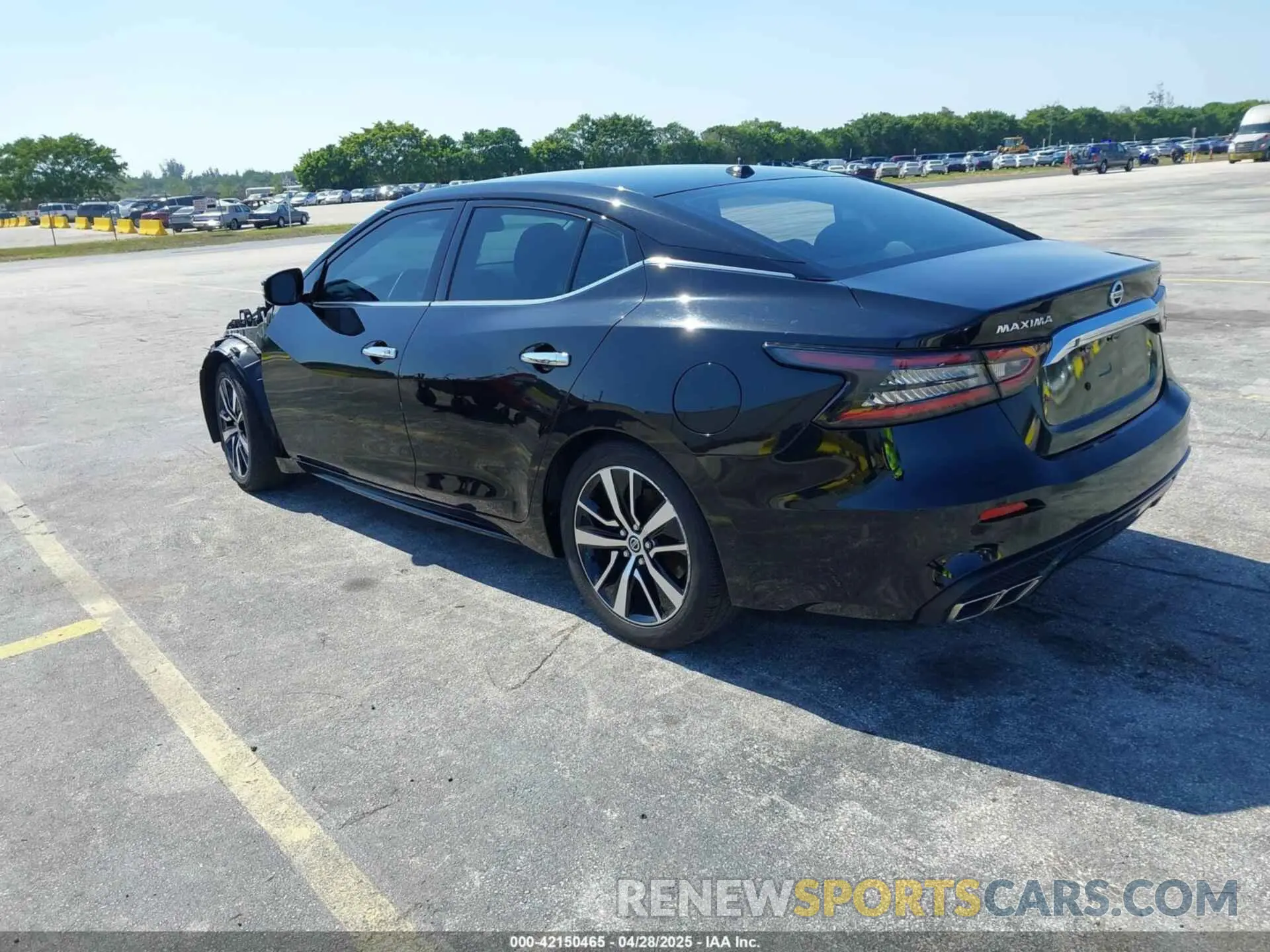 3 Photograph of a damaged car 1N4AA6CV4MC506744 NISSAN MAXIMA 2021