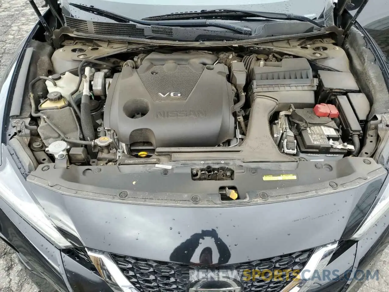 11 Photograph of a damaged car 1N4AA6CV4MC513807 NISSAN MAXIMA 2021