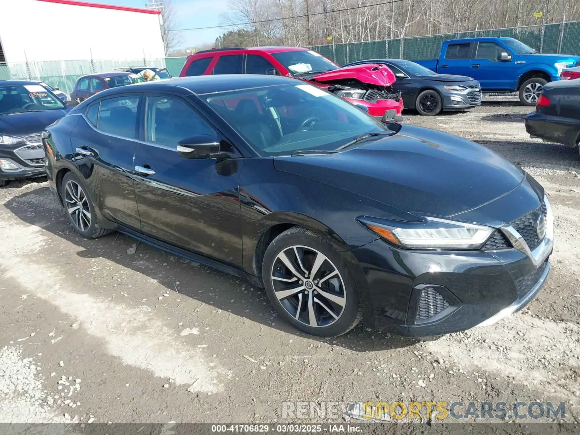 1 Photograph of a damaged car 1N4AA6CV5MC513640 NISSAN MAXIMA 2021