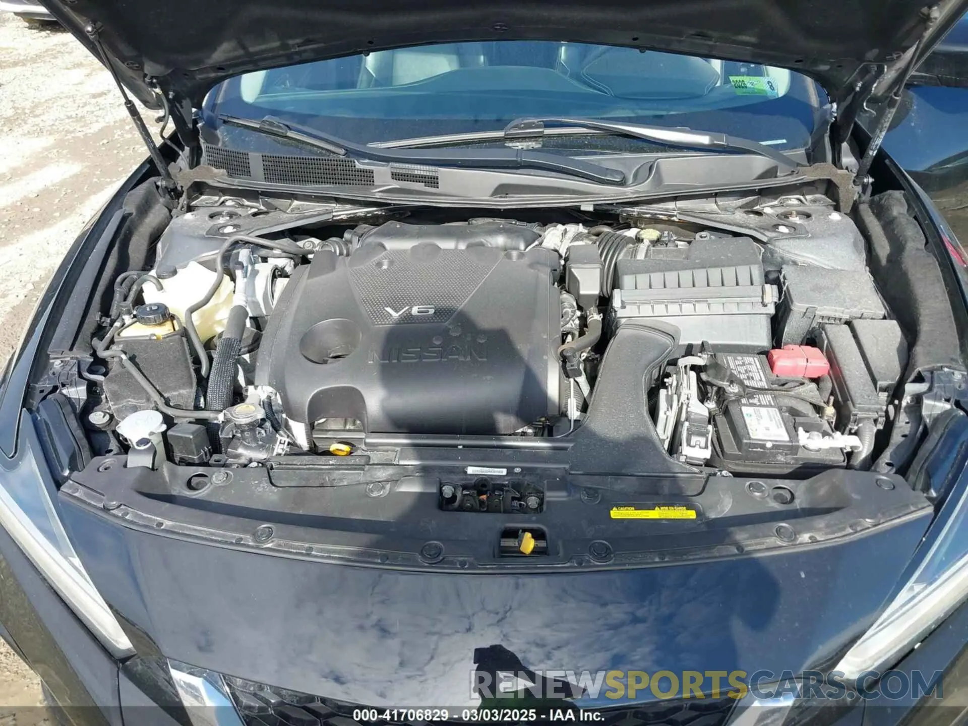 10 Photograph of a damaged car 1N4AA6CV5MC513640 NISSAN MAXIMA 2021