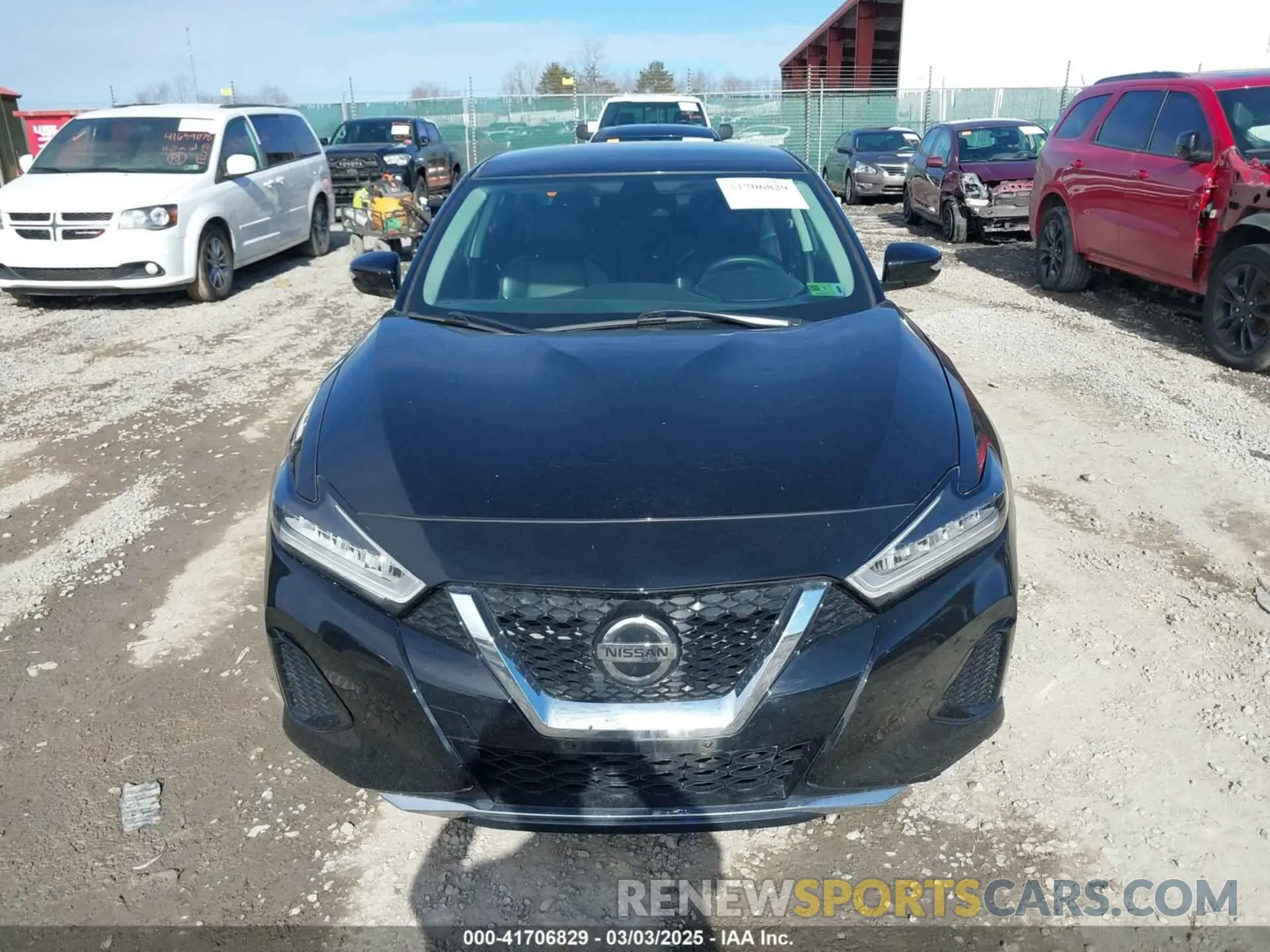 12 Photograph of a damaged car 1N4AA6CV5MC513640 NISSAN MAXIMA 2021