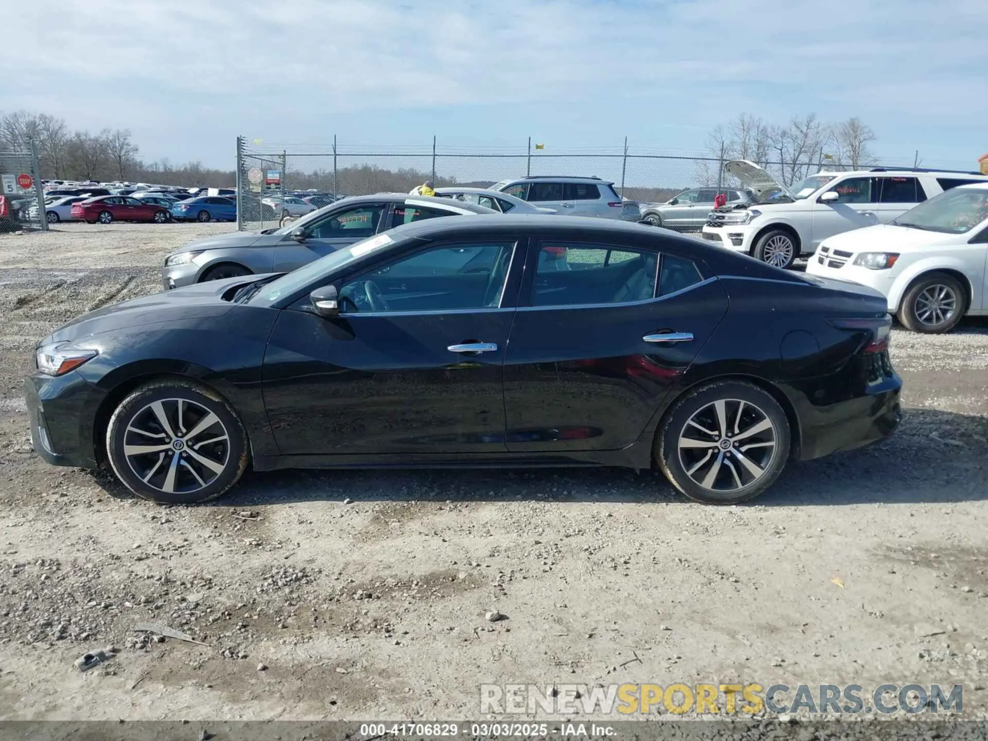 14 Photograph of a damaged car 1N4AA6CV5MC513640 NISSAN MAXIMA 2021