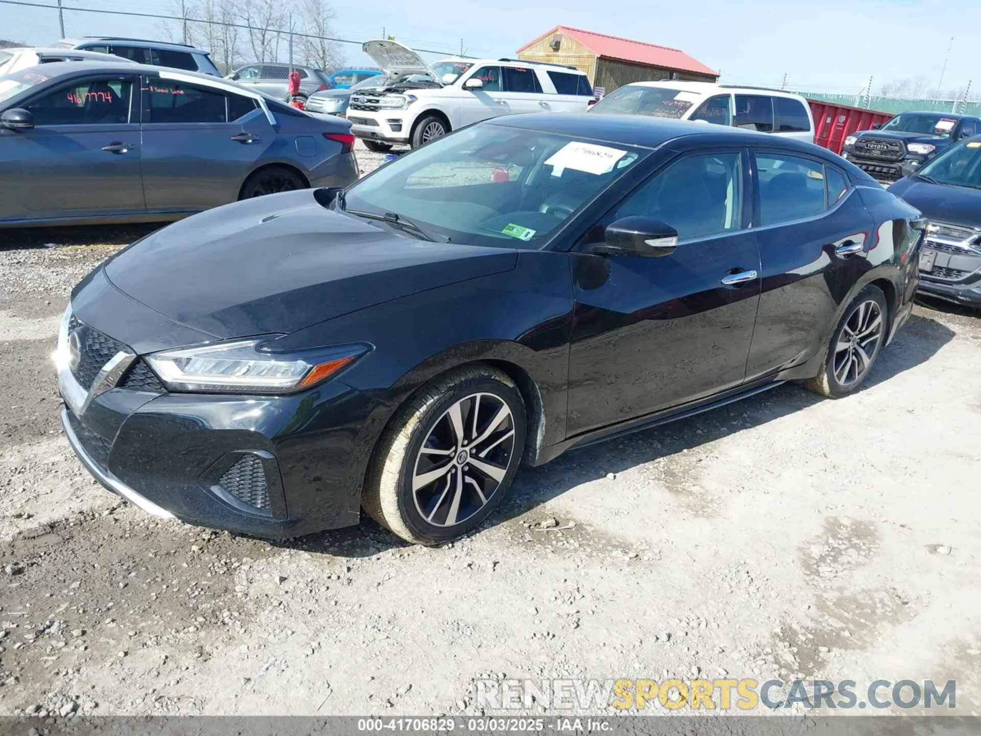 2 Photograph of a damaged car 1N4AA6CV5MC513640 NISSAN MAXIMA 2021