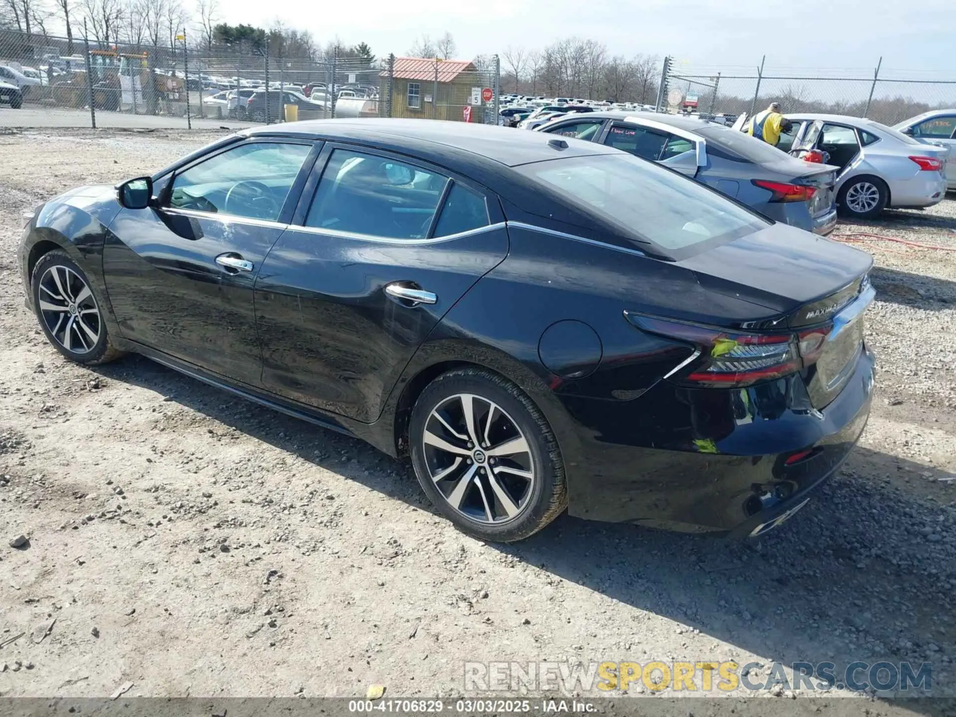 3 Photograph of a damaged car 1N4AA6CV5MC513640 NISSAN MAXIMA 2021