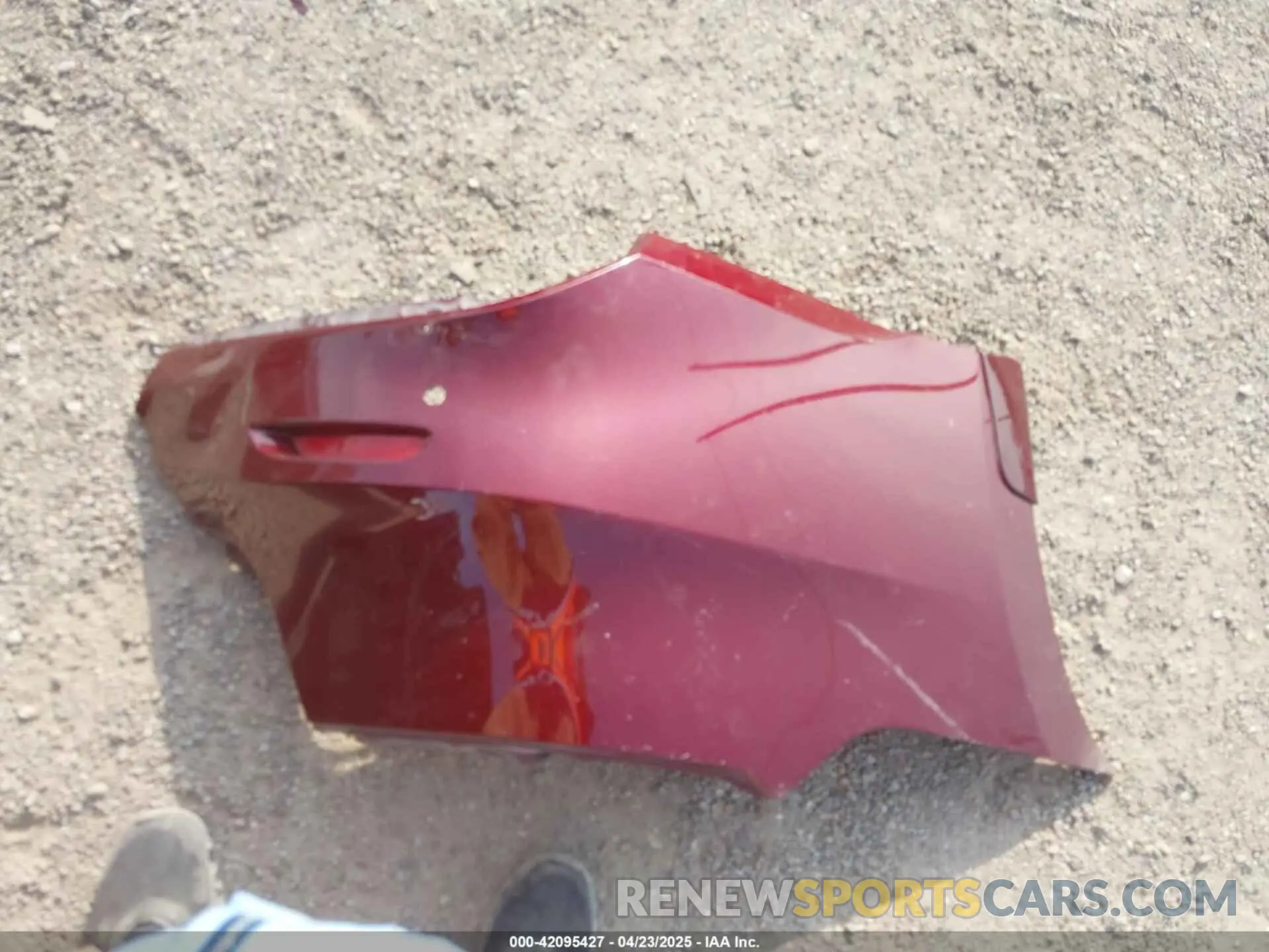 12 Photograph of a damaged car 1N4AA6CV5MC516067 NISSAN MAXIMA 2021