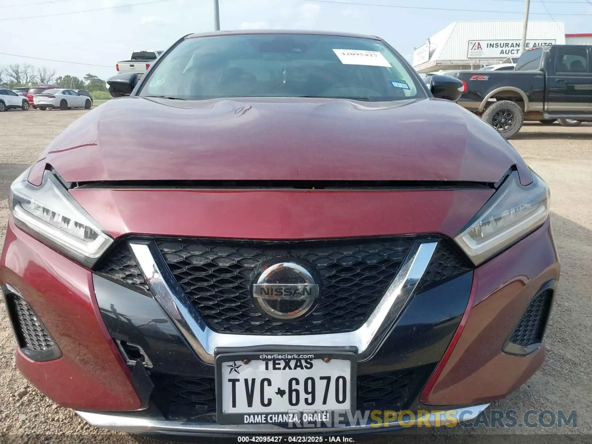13 Photograph of a damaged car 1N4AA6CV5MC516067 NISSAN MAXIMA 2021