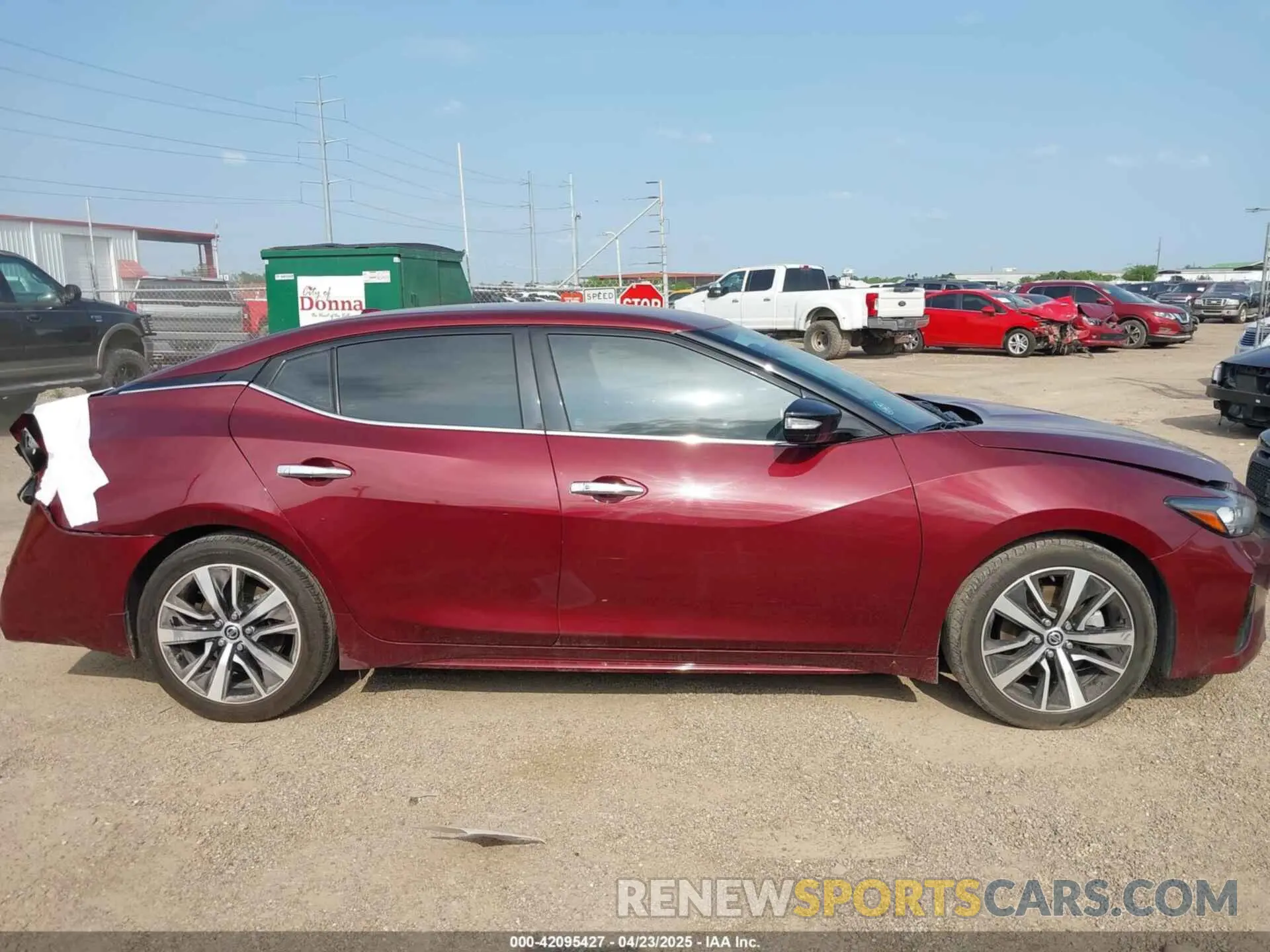 14 Photograph of a damaged car 1N4AA6CV5MC516067 NISSAN MAXIMA 2021
