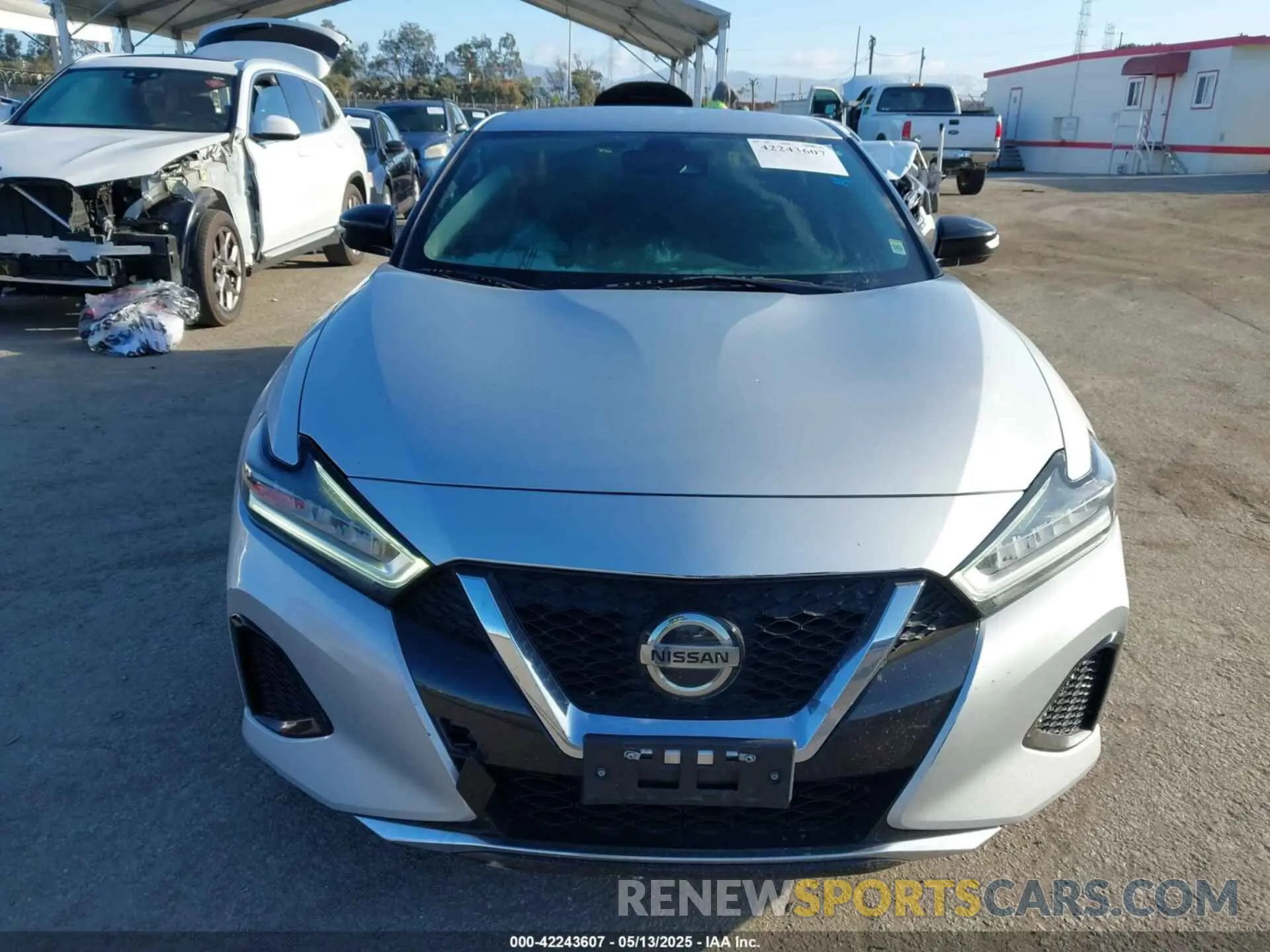12 Photograph of a damaged car 1N4AA6CV7MC512294 NISSAN MAXIMA 2021