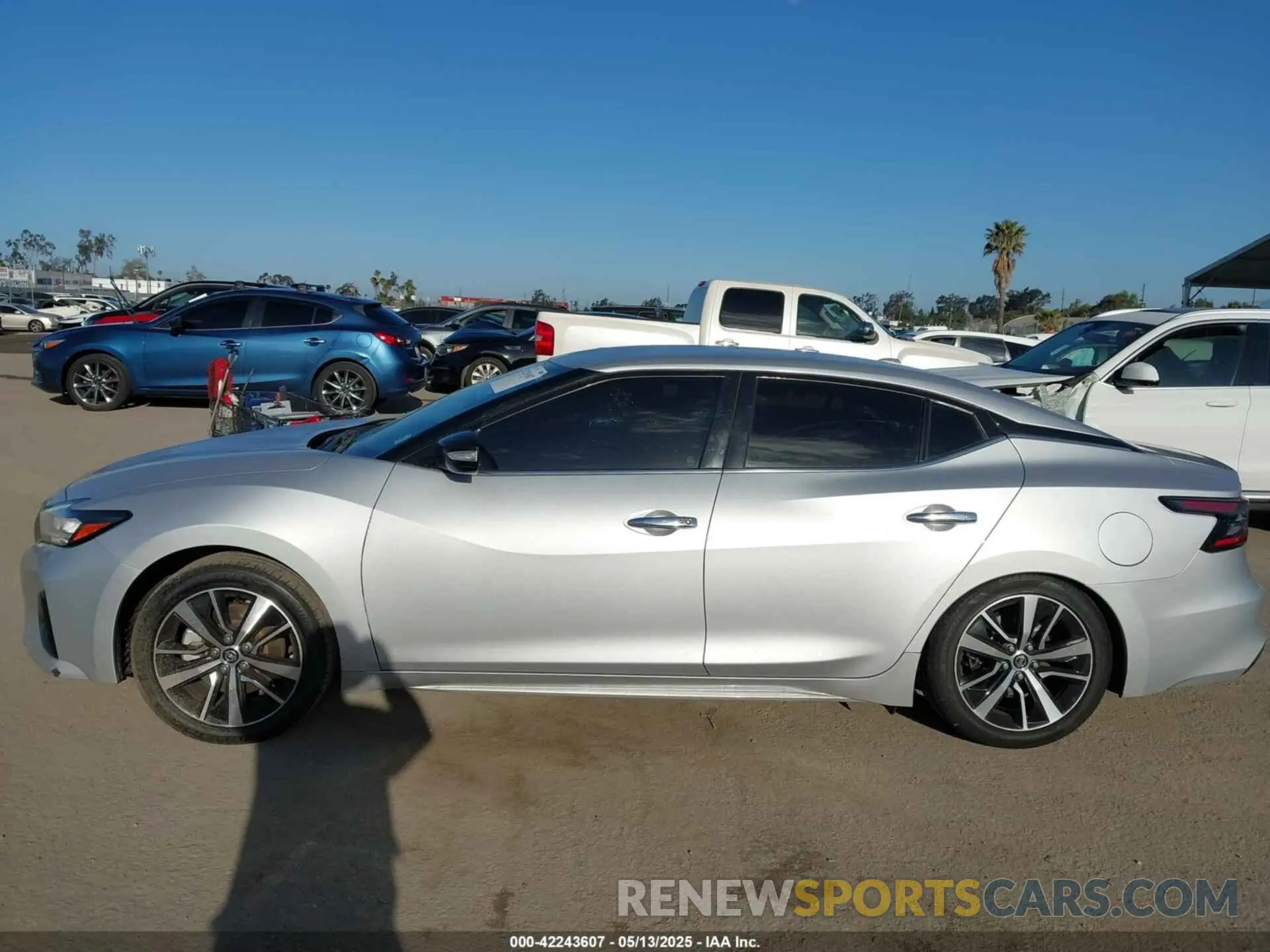 14 Photograph of a damaged car 1N4AA6CV7MC512294 NISSAN MAXIMA 2021