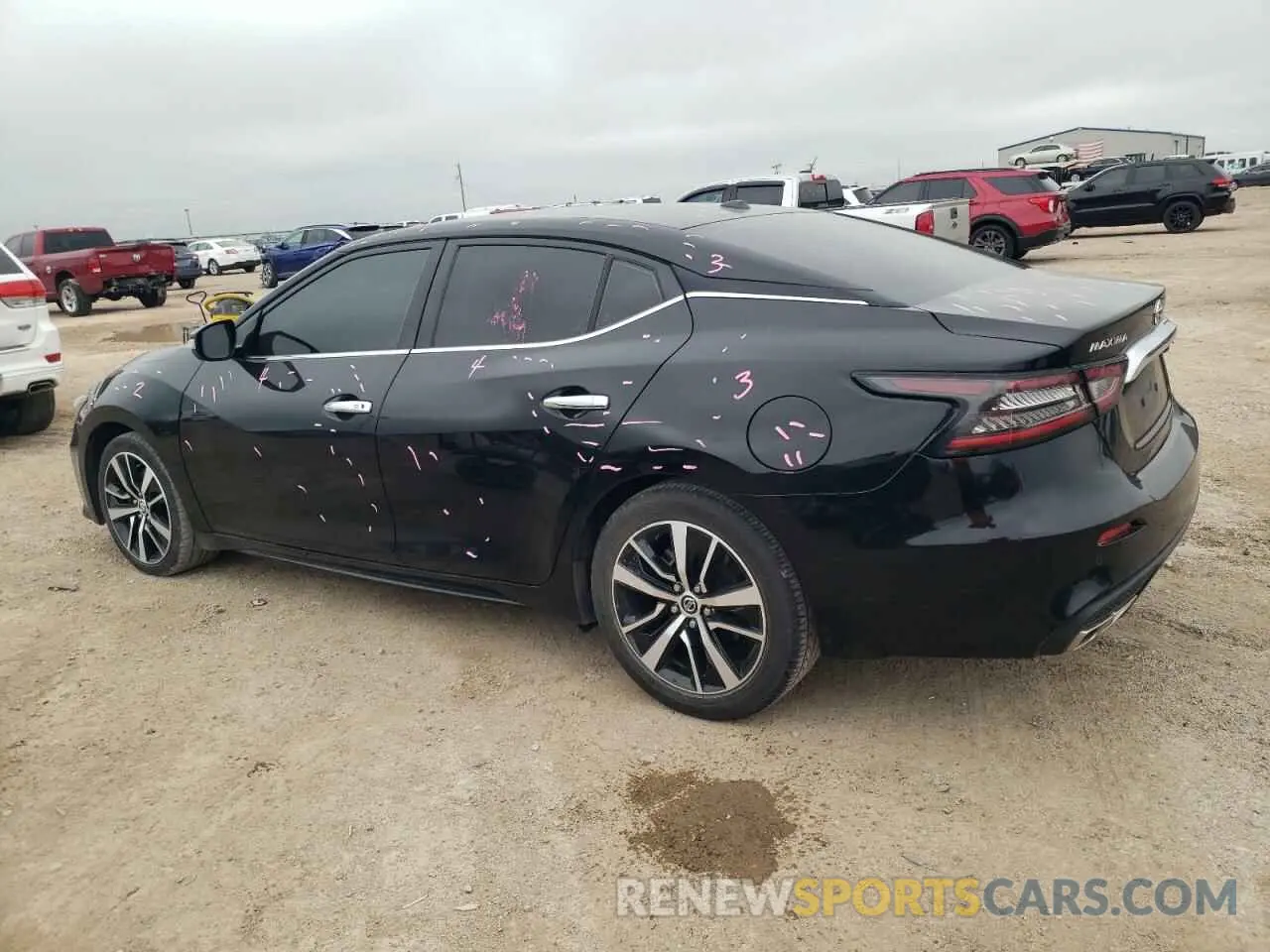 2 Photograph of a damaged car 1N4AA6CV7MC514093 NISSAN MAXIMA 2021