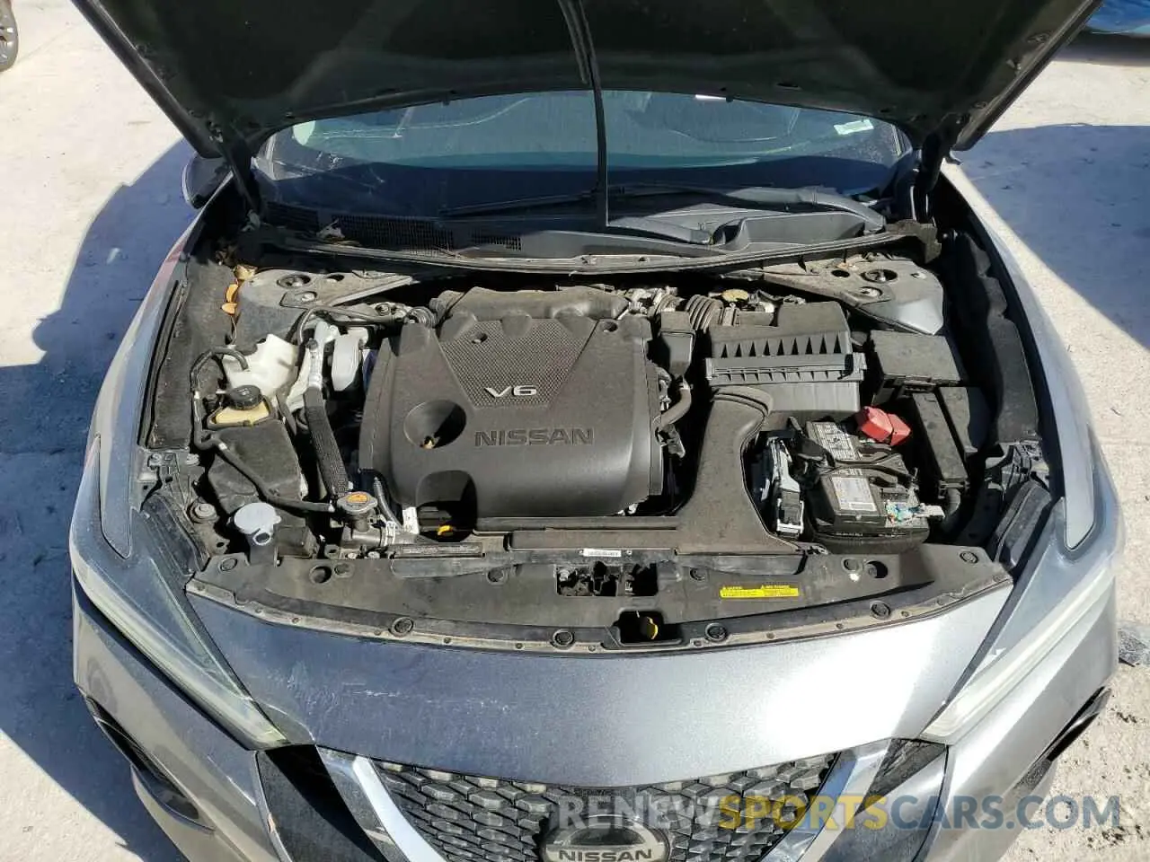 11 Photograph of a damaged car 1N4AA6CV8MC513454 NISSAN MAXIMA 2021