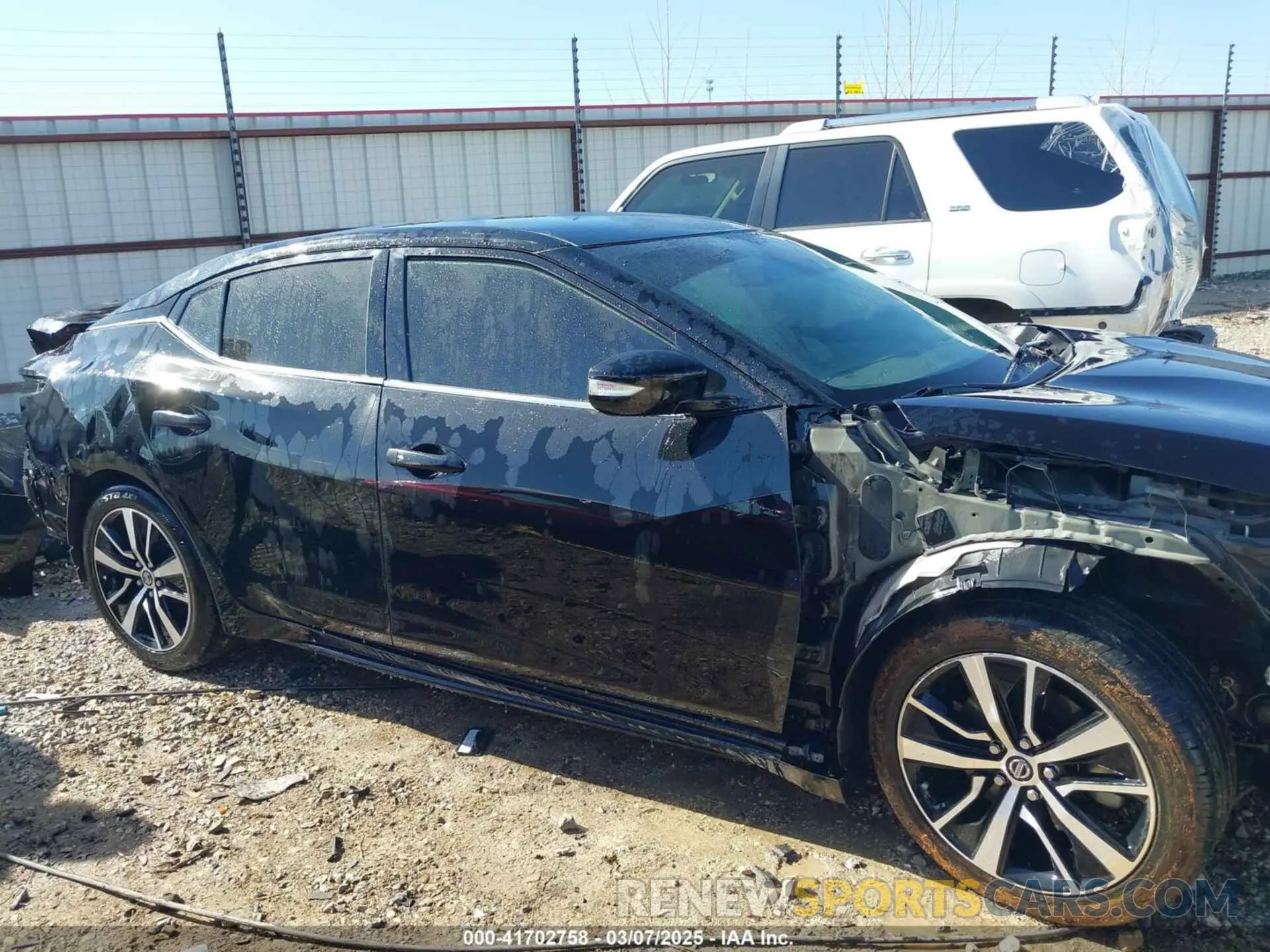 14 Photograph of a damaged car 1N4AA6CV9MC506223 NISSAN MAXIMA 2021