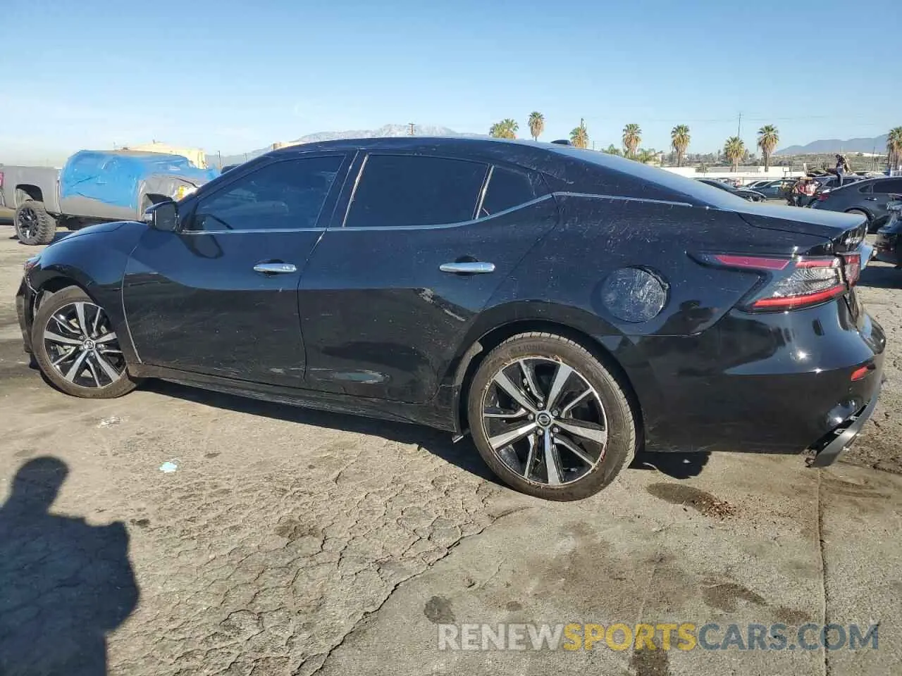 2 Photograph of a damaged car 1N4AA6CVXMC508370 NISSAN MAXIMA 2021